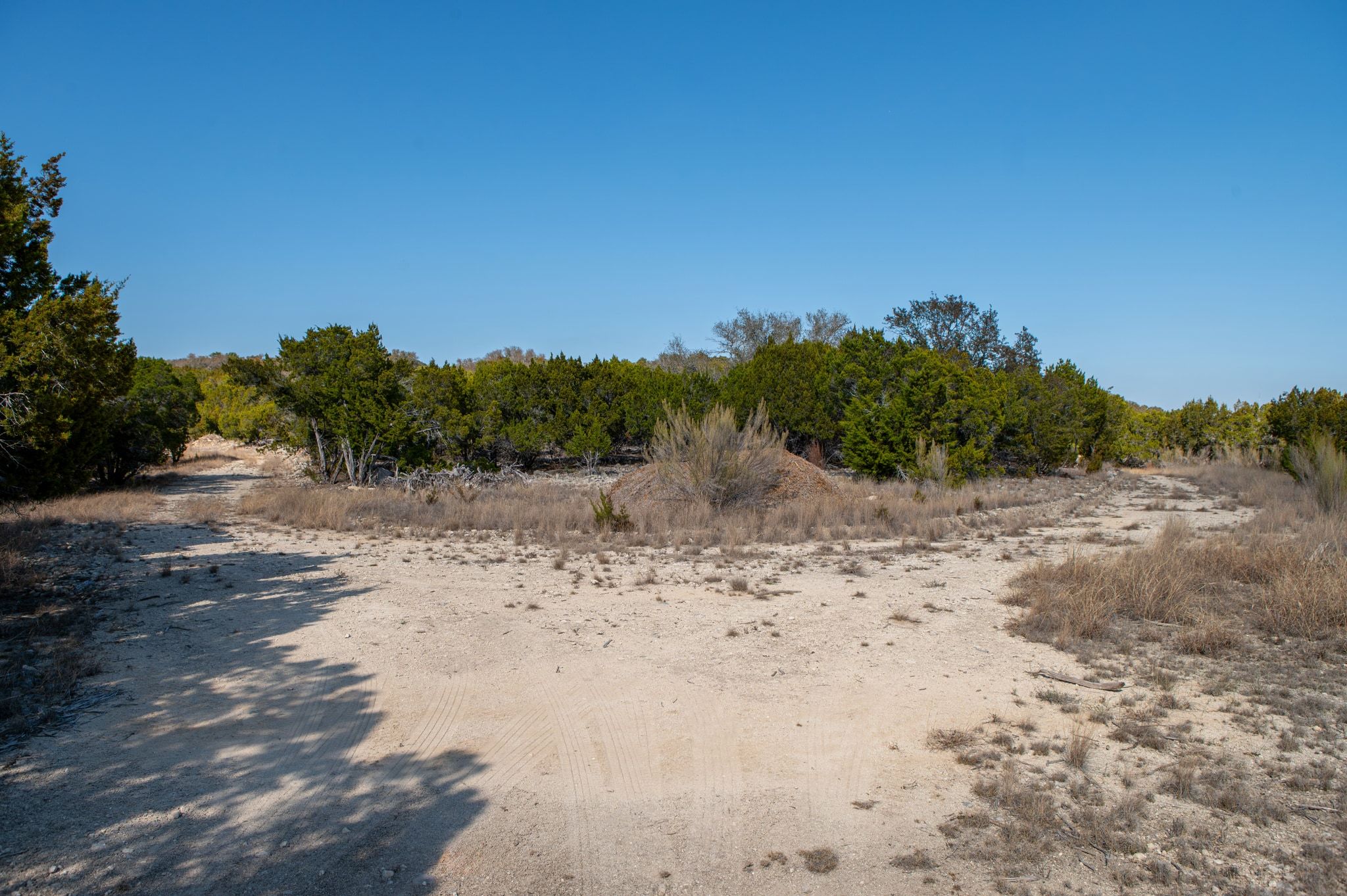 17831 West Reed Park Road Lago Vista, TX 78645 - Photo 24 of 33 a view of a dry yard with a forest