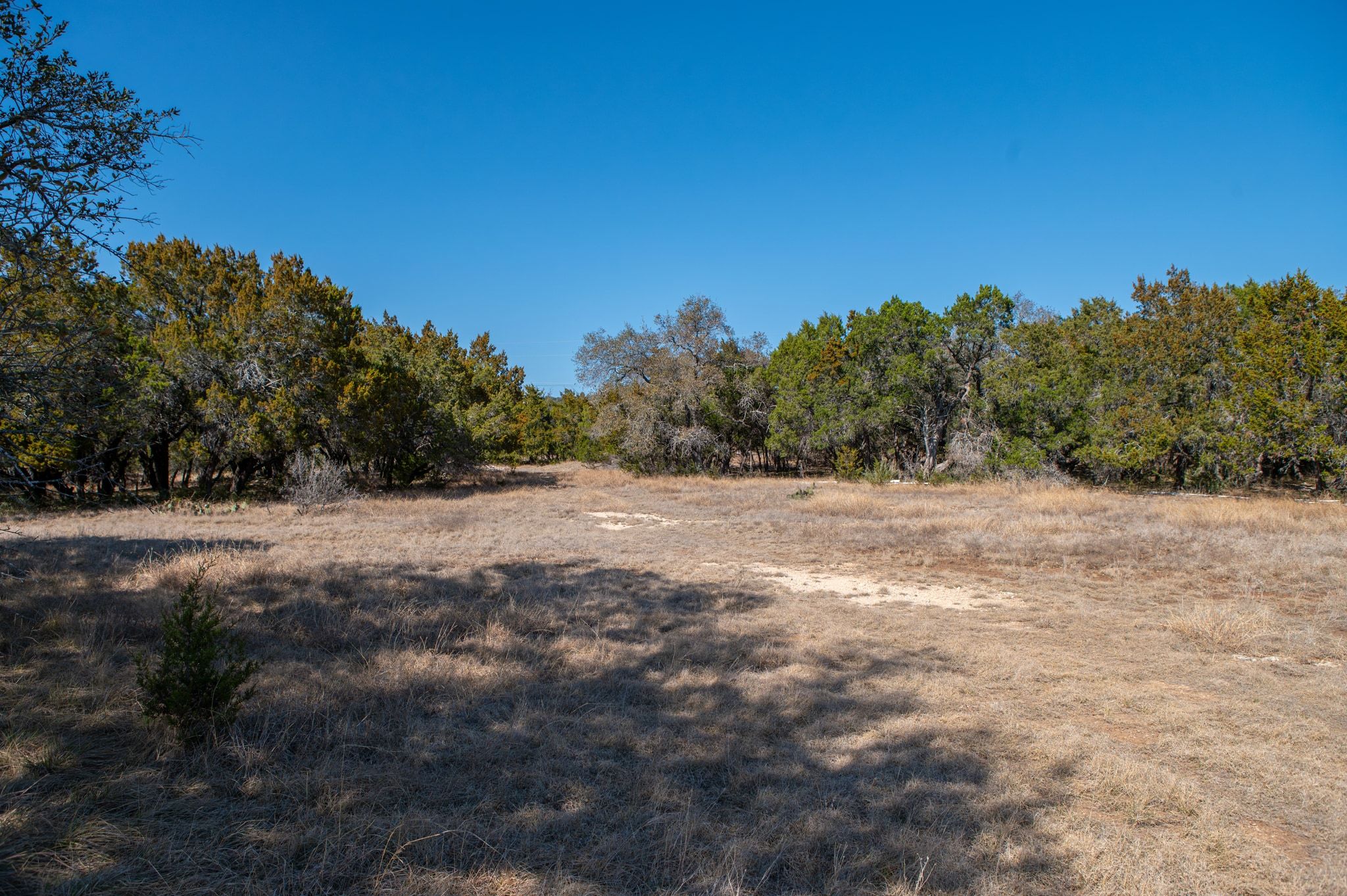 17831 West Reed Park Road Lago Vista, TX 78645 - Photo 26 of 33 a view of dirt field with trees in background