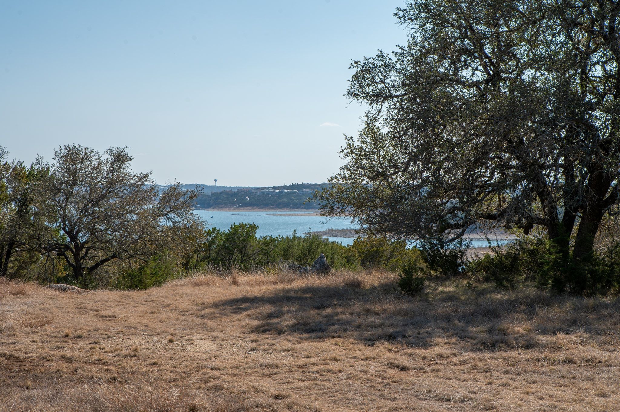 17831 West Reed Park Road Lago Vista, TX 78645 - Photo 27 of 33 a view of a dry yard with trees and plants