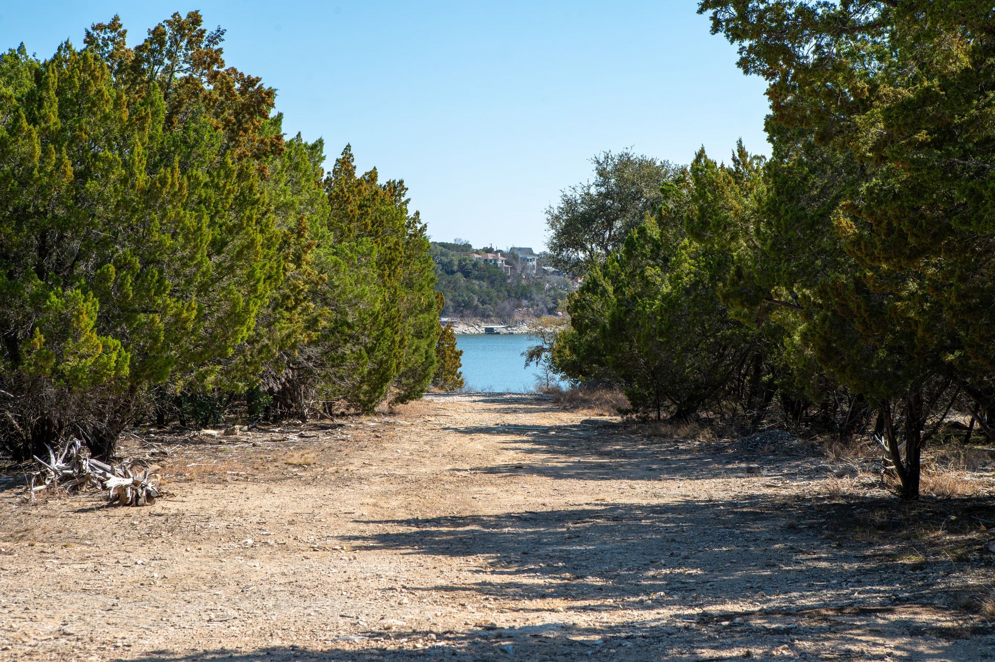 17831 West Reed Park Road Lago Vista, TX 78645 - Photo 6 of 33 a view of road and trees
