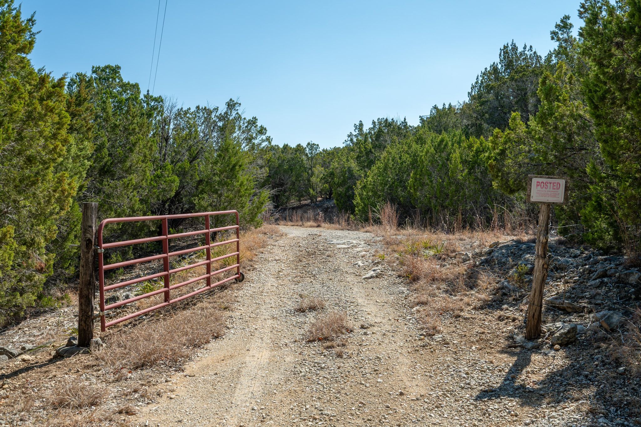 17831 West Reed Park Road Lago Vista, TX 78645 - Photo 8 of 33 a backyard of a house with wooden fence and trees