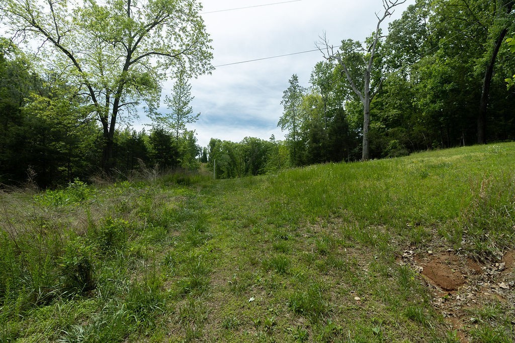 0 Billy Wynn Road Dickson, TN 37055 - Photo 40 of 44