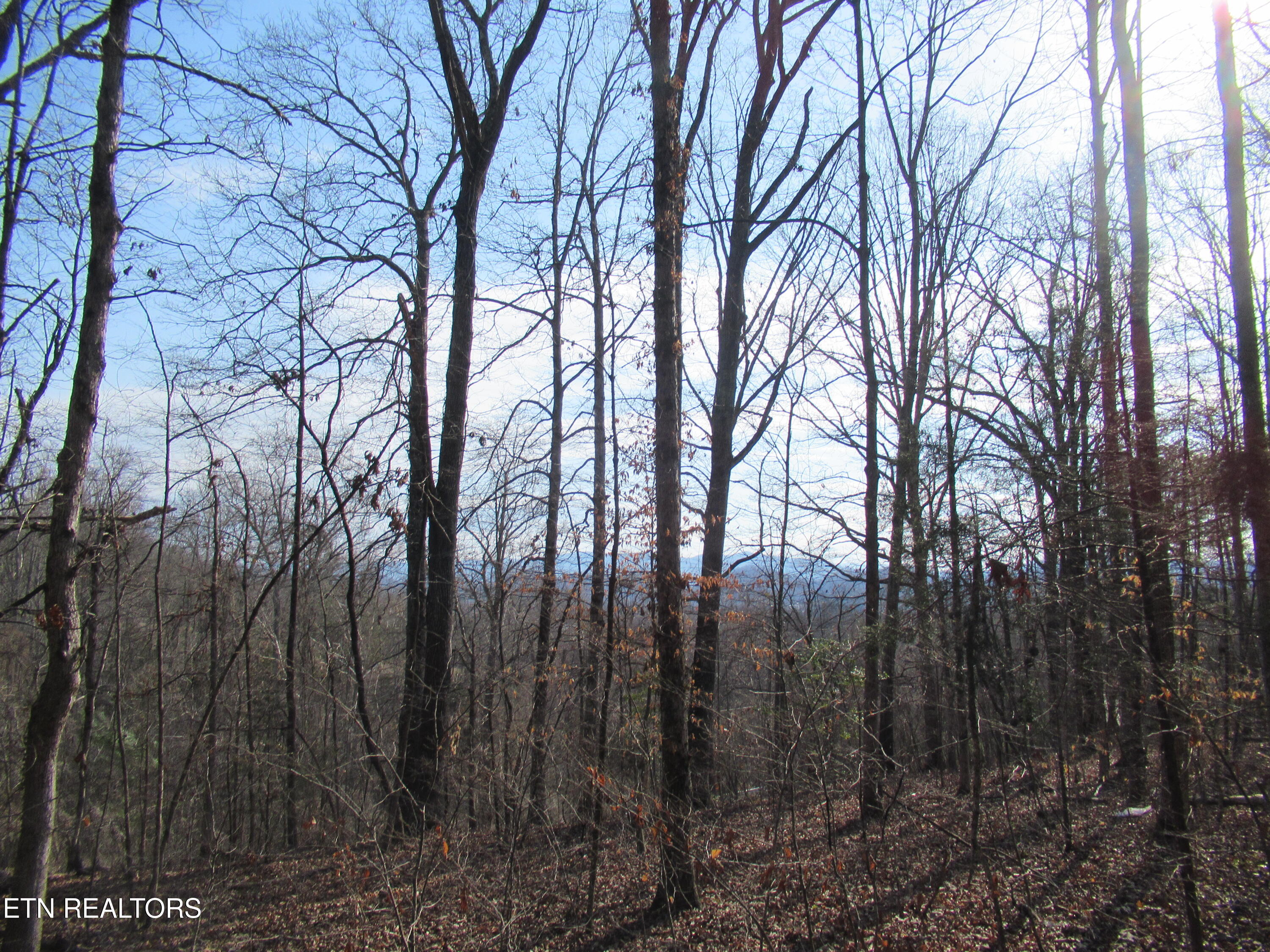 Tomotley Road Maryville, TN 37801 - Photo 10 of 12 IMG_2242