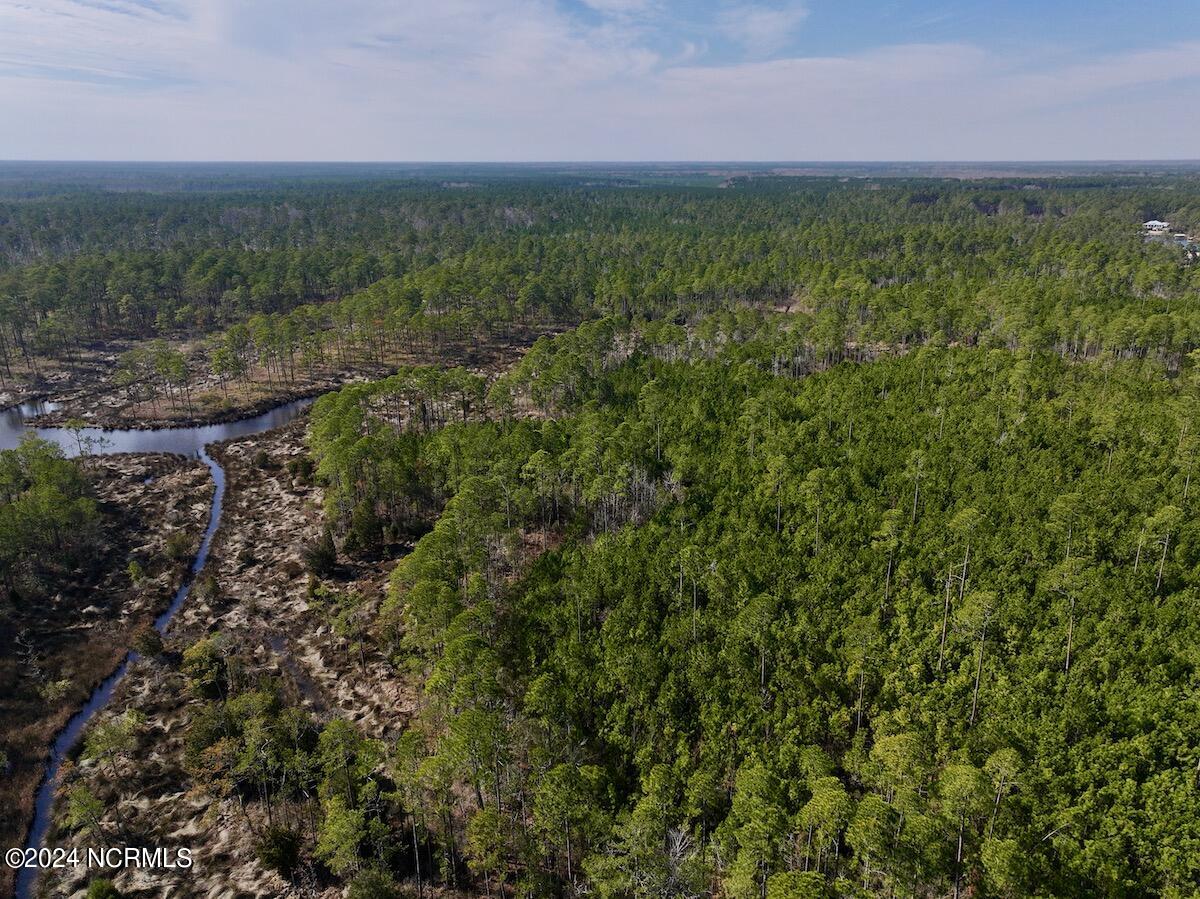 794 Wheaton Point Road Aurora, NC 27806 - Photo 19 of 59 18