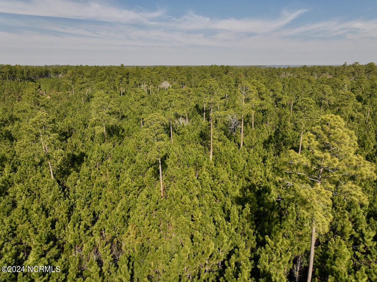 794 Wheaton Point Road Aurora, NC 27806 - Photo 47 of 59 46