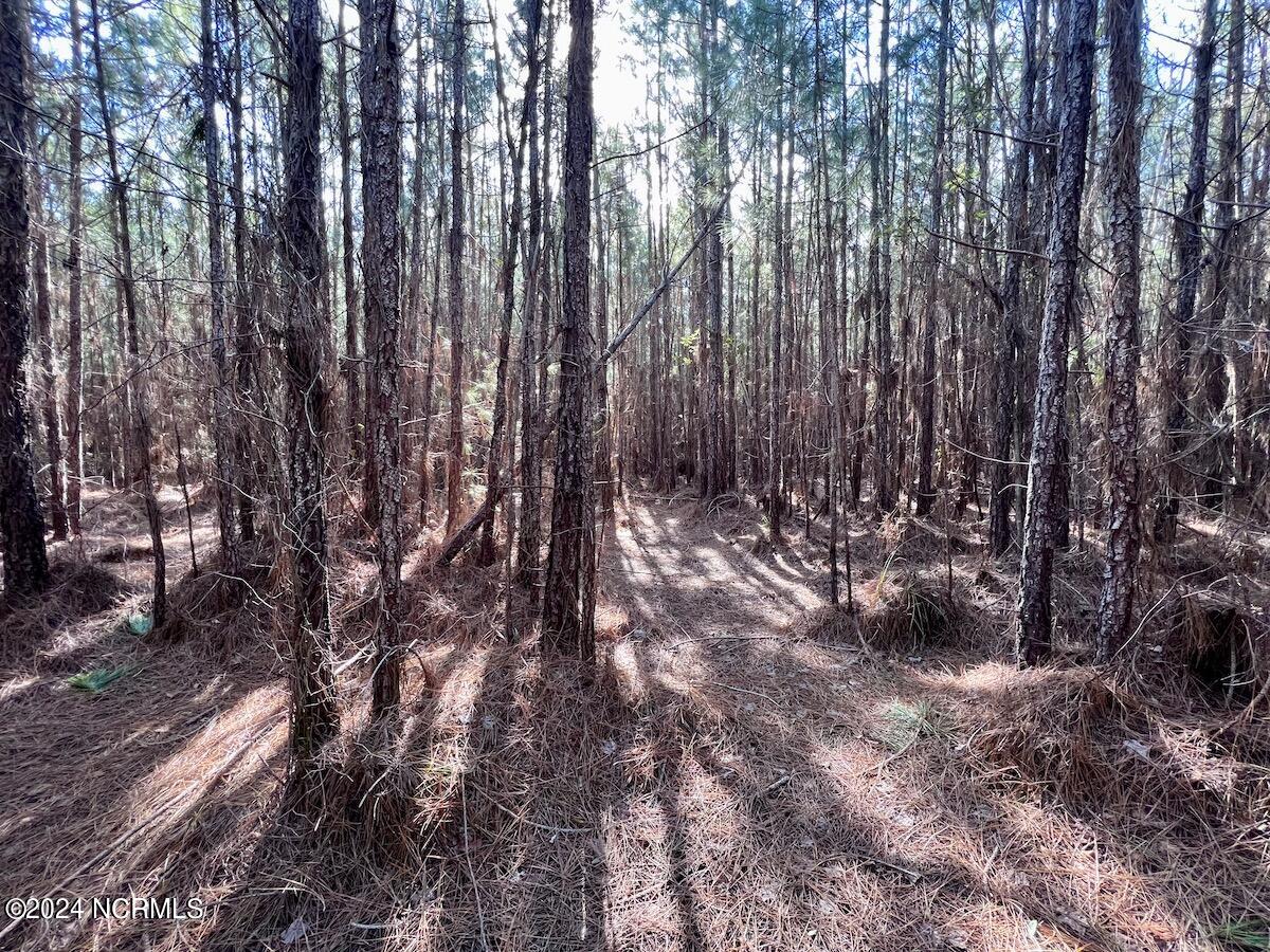 794 Wheaton Point Road Aurora, NC 27806 - Photo 50 of 59 49