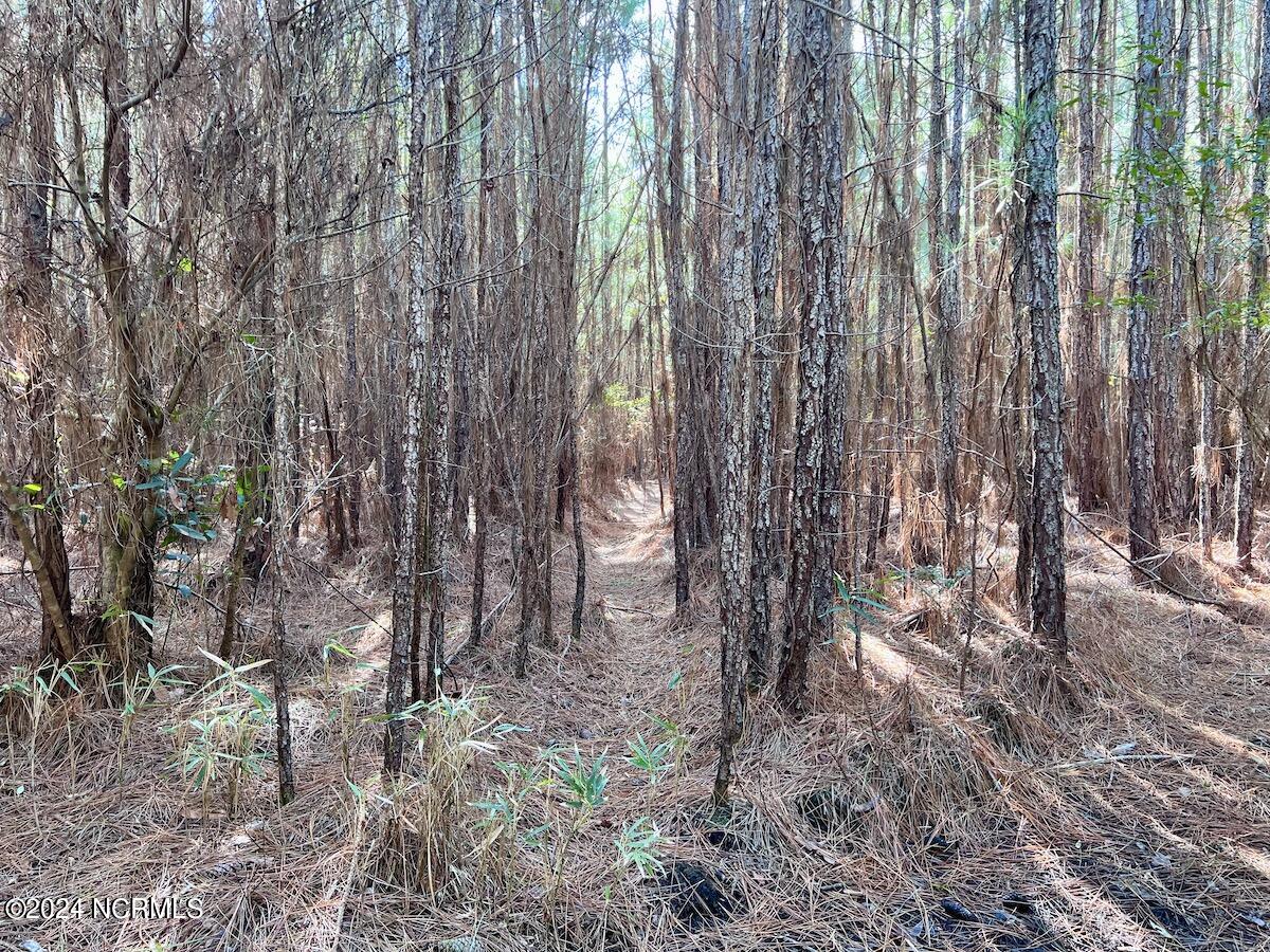 794 Wheaton Point Road Aurora, NC 27806 - Photo 52 of 59 51