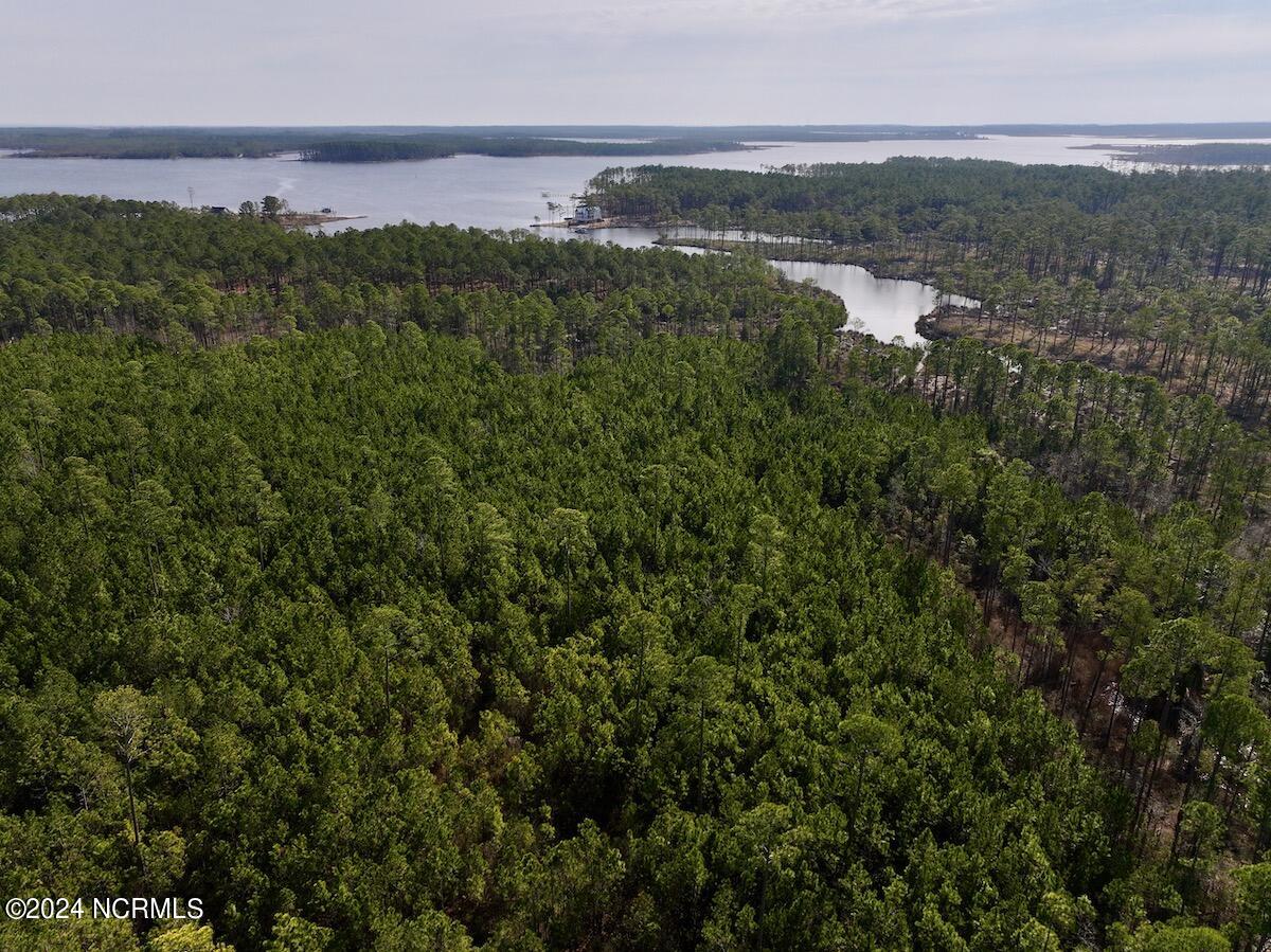 794 Wheaton Point Road Aurora, NC 27806 - Photo 7 of 59 6