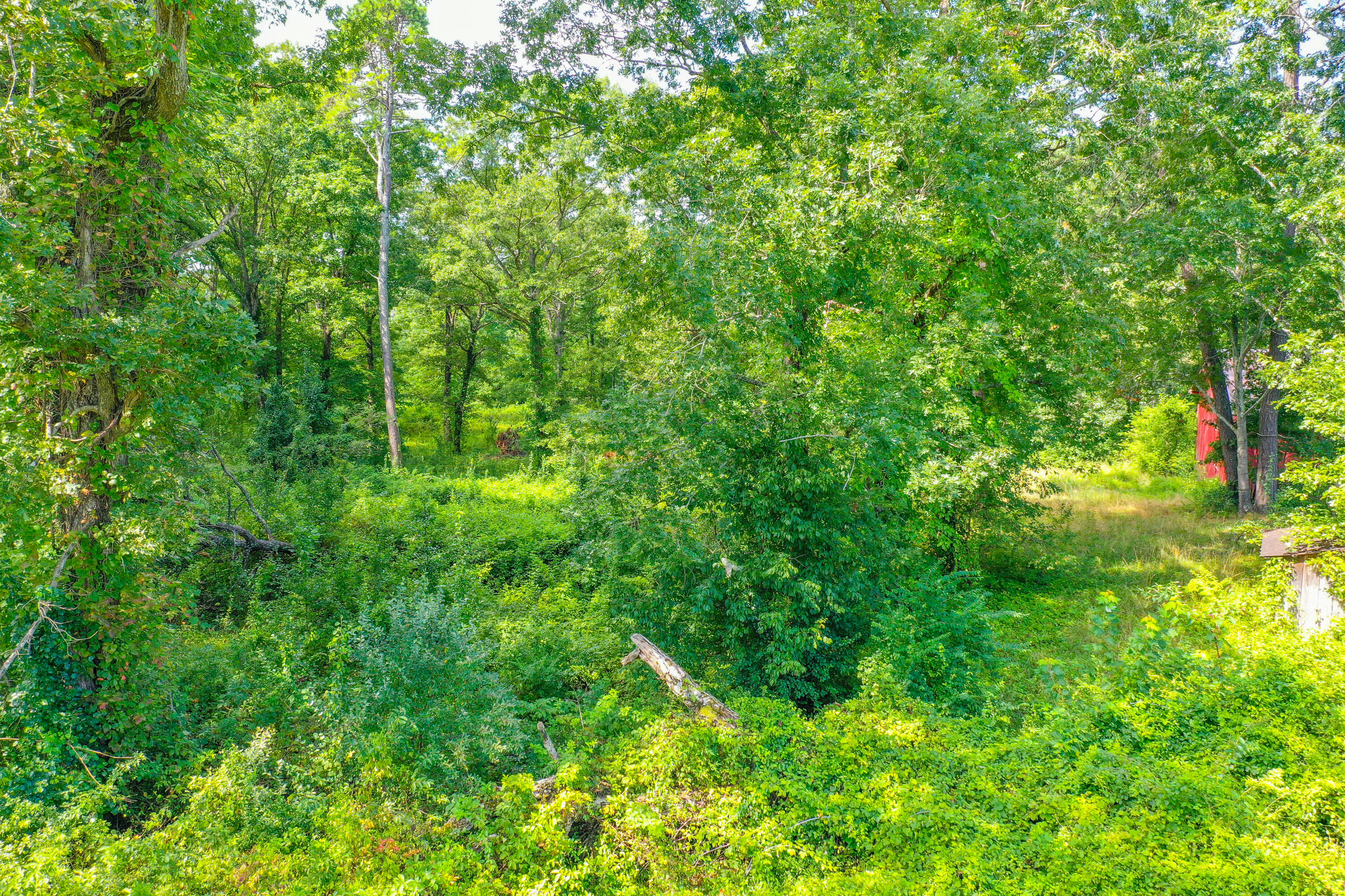 4455 Keavy Road London, KY 40744 - Photo 22 of 24 DJI_0678