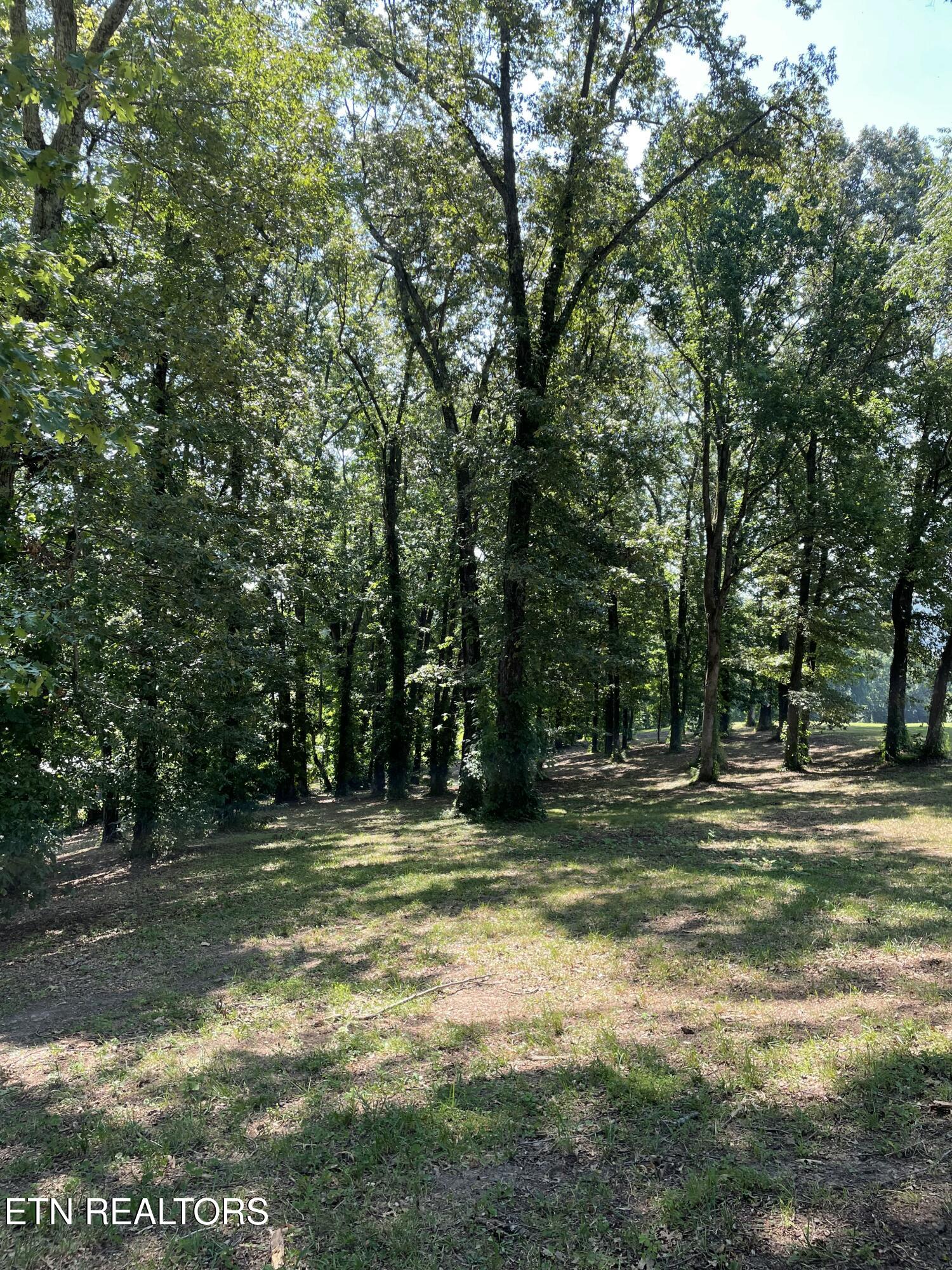 141 Twin Church Road Bean Station, TN 37708 - Photo 14 of 35 IMG_8312