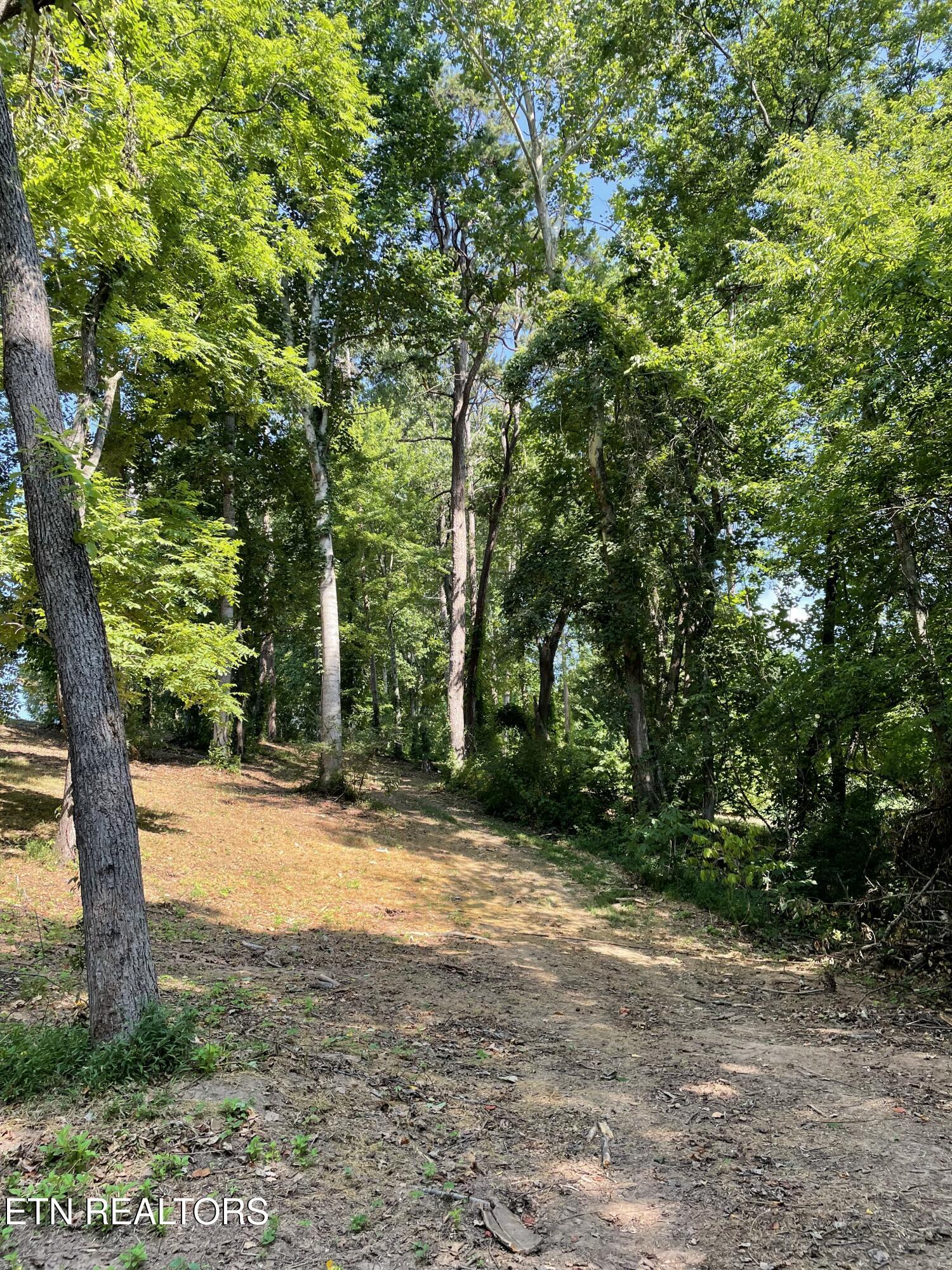 141 Twin Church Road Bean Station, TN 37708 - Photo 20 of 35 IMG_8352