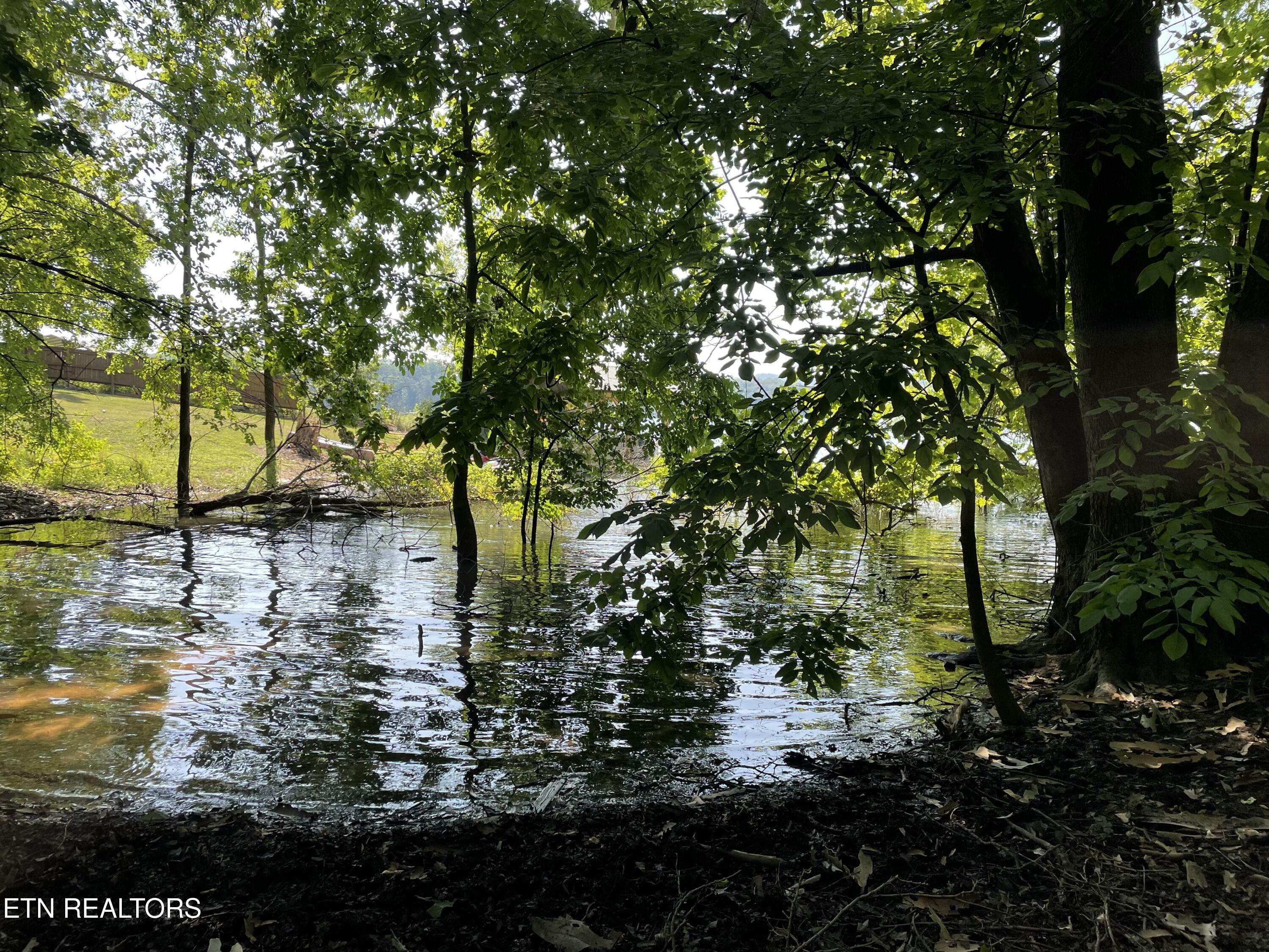 141 Twin Church Road Bean Station, TN 37708 - Photo 23 of 35 IMG_8349