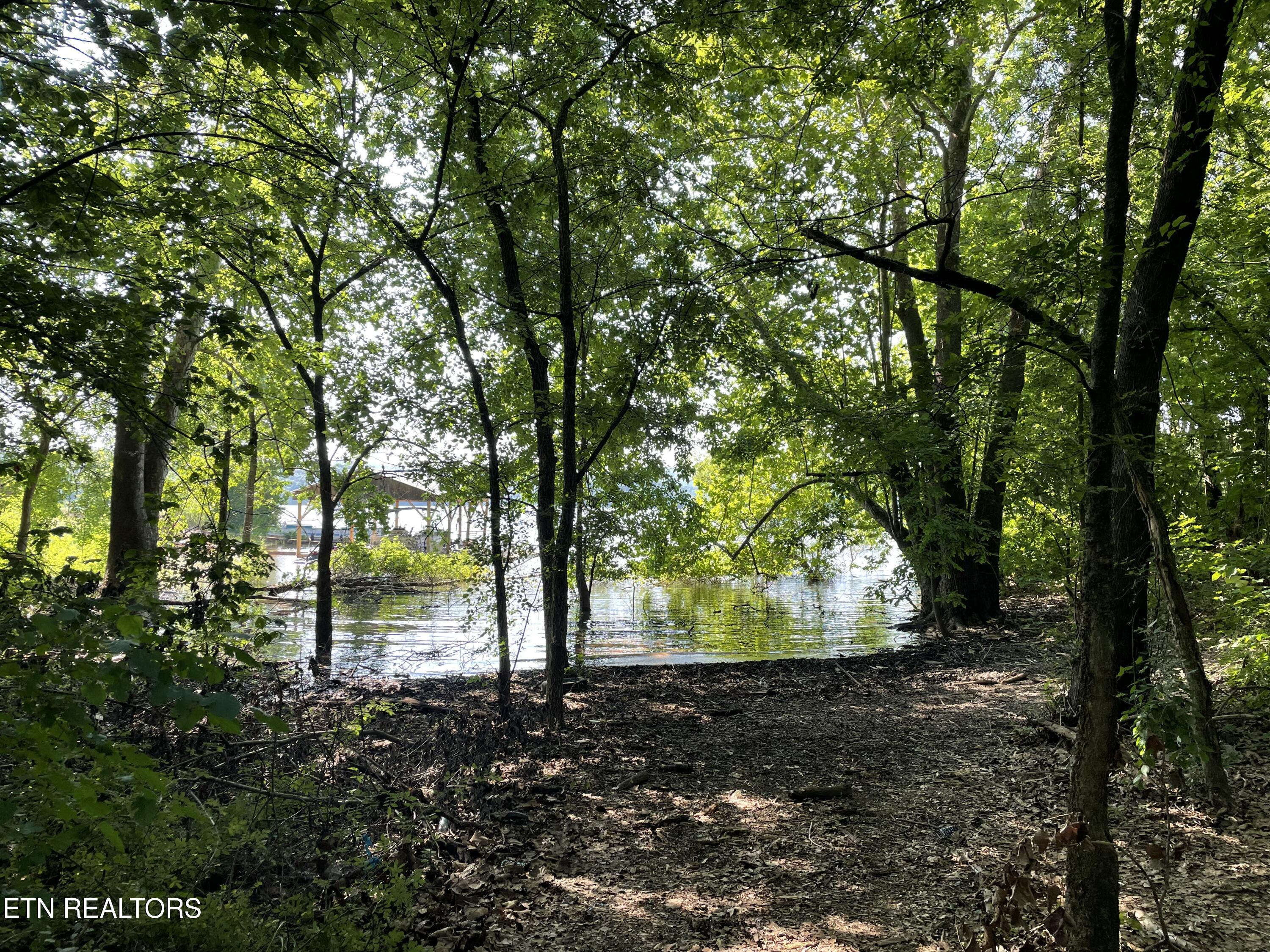 141 Twin Church Road Bean Station, TN 37708 - Photo 26 of 35 IMG_8345