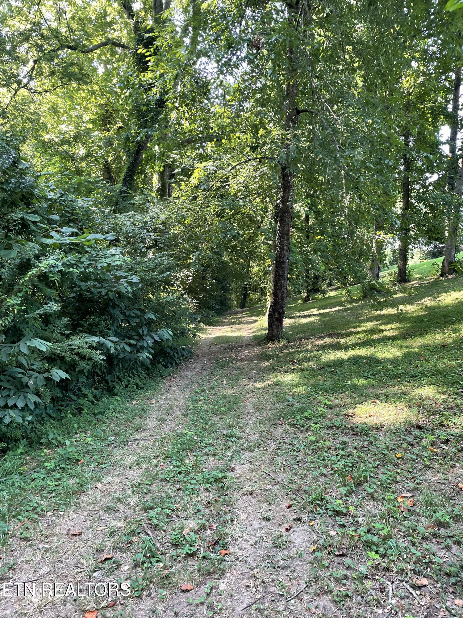 141 Twin Church Road Bean Station, TN 37708 - Photo 27 of 35 IMG_8342