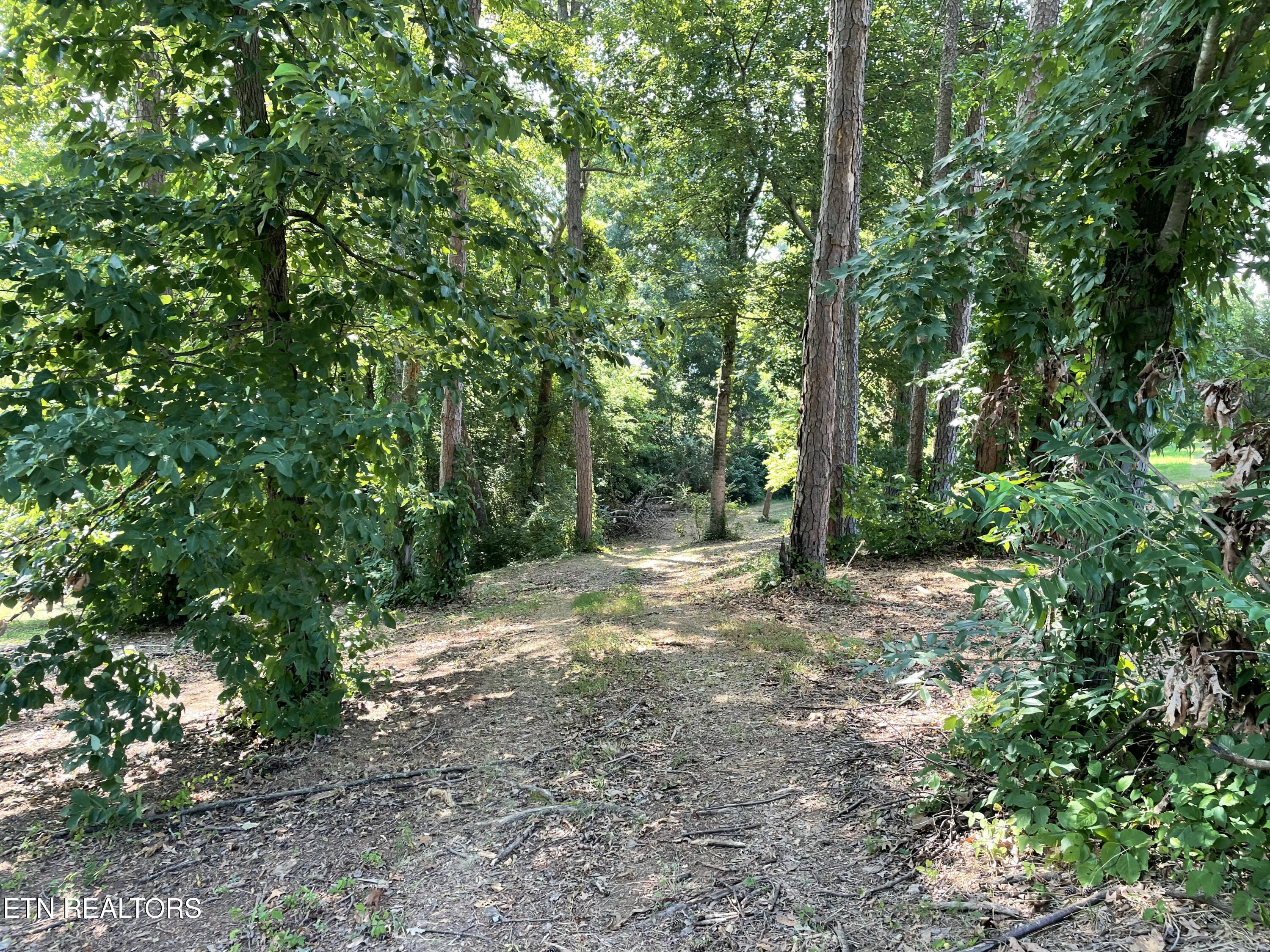 141 Twin Church Road Bean Station, TN 37708 - Photo 29 of 35 IMG_8339