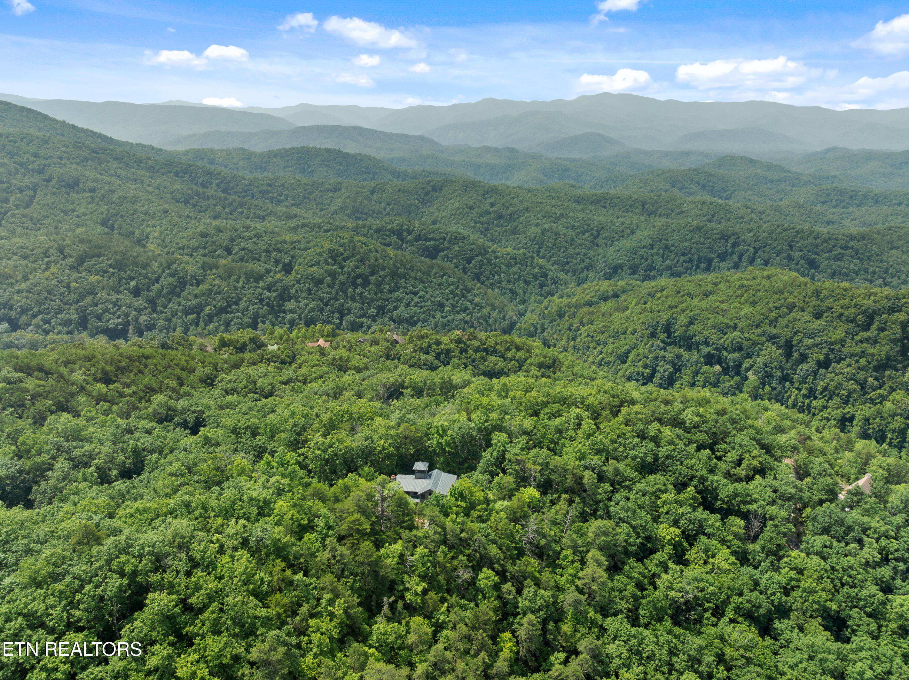 1265 Lookout Trail Townsend, TN 37882 - Photo 11 of 59 DJI_0317