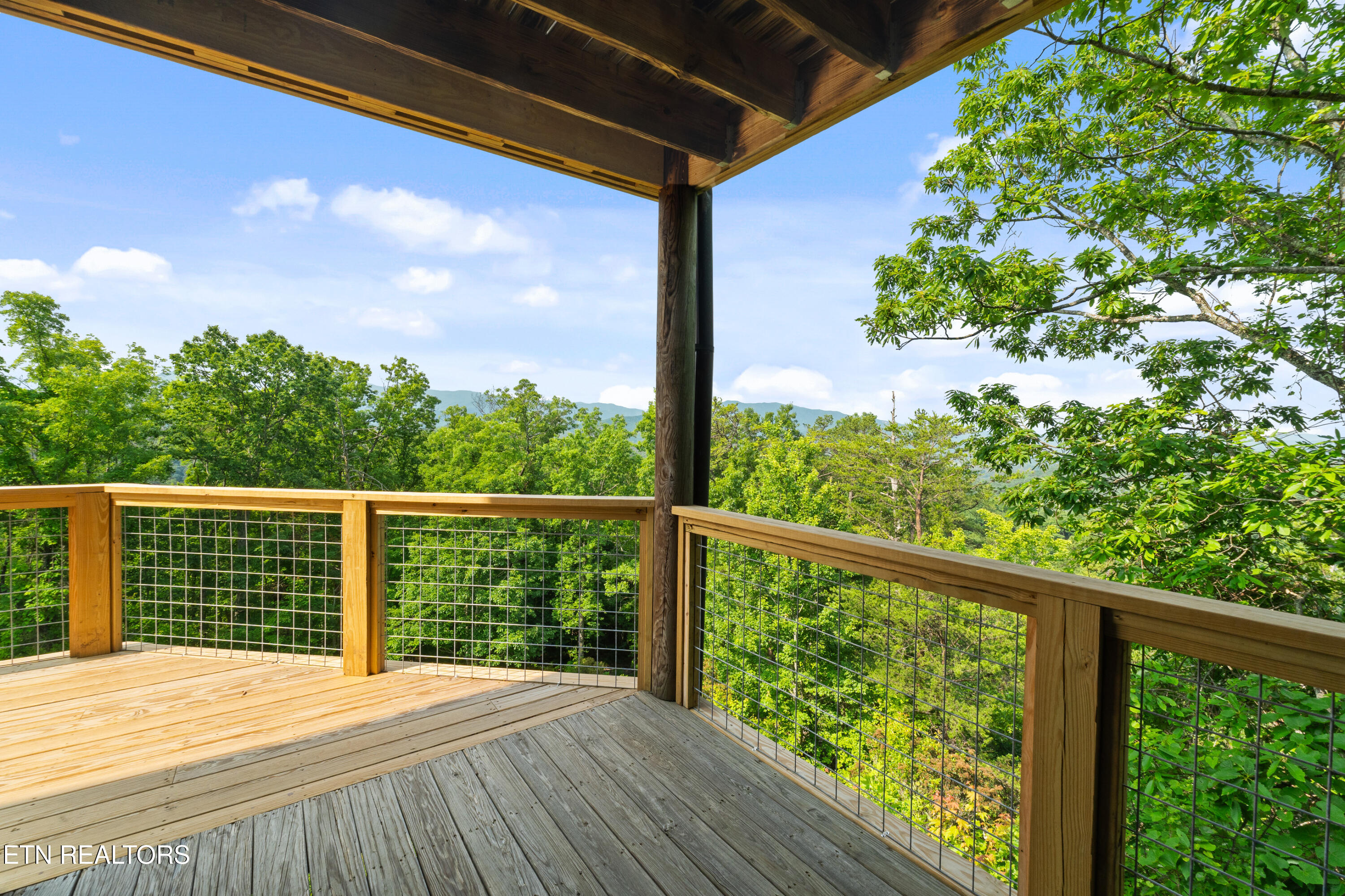 1265 Lookout Trail Townsend, TN 37882 - Photo 18 of 59 DSC06683