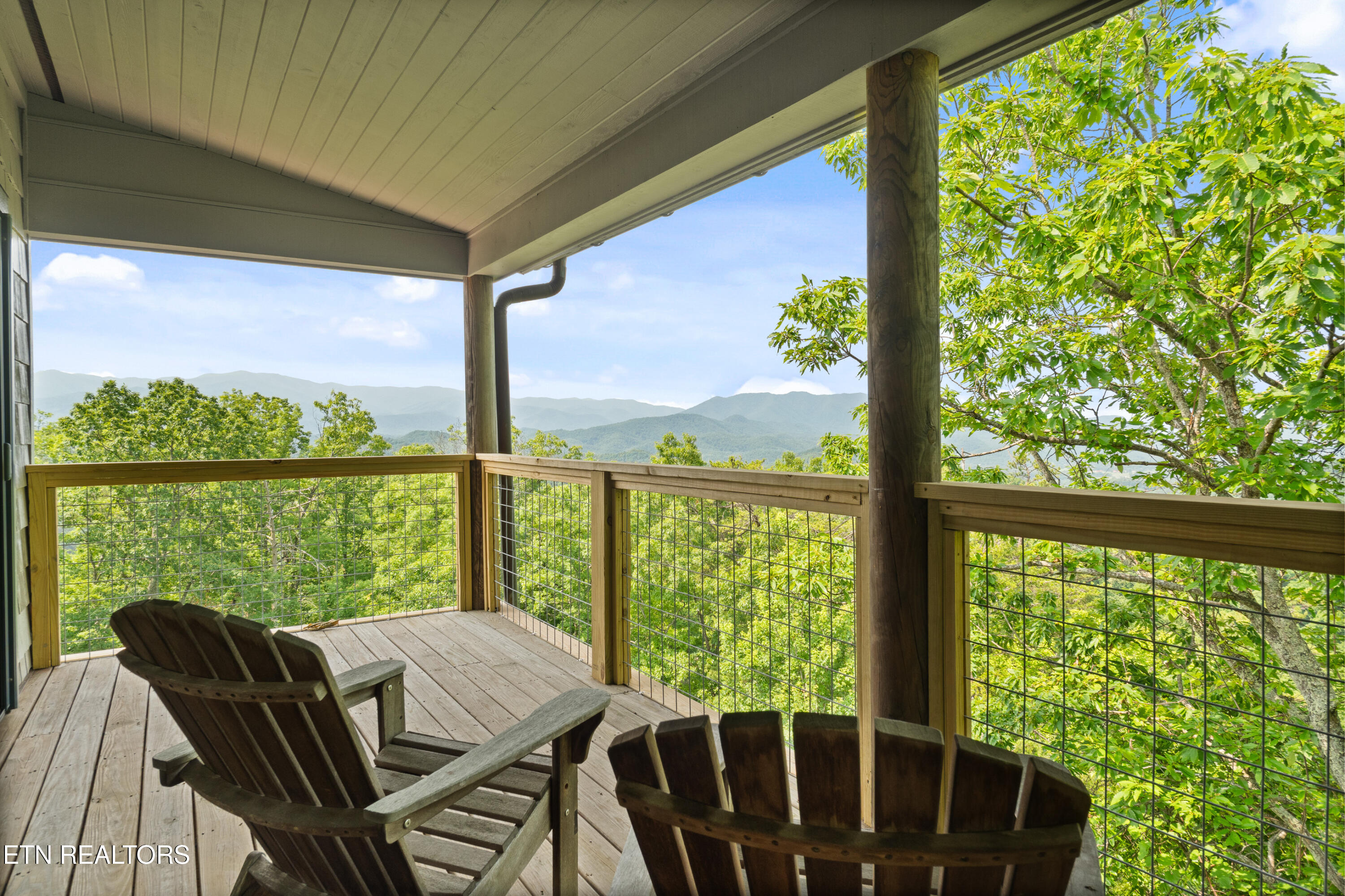 1265 Lookout Trail Townsend, TN 37882 - Photo 41 of 59 DSC06870