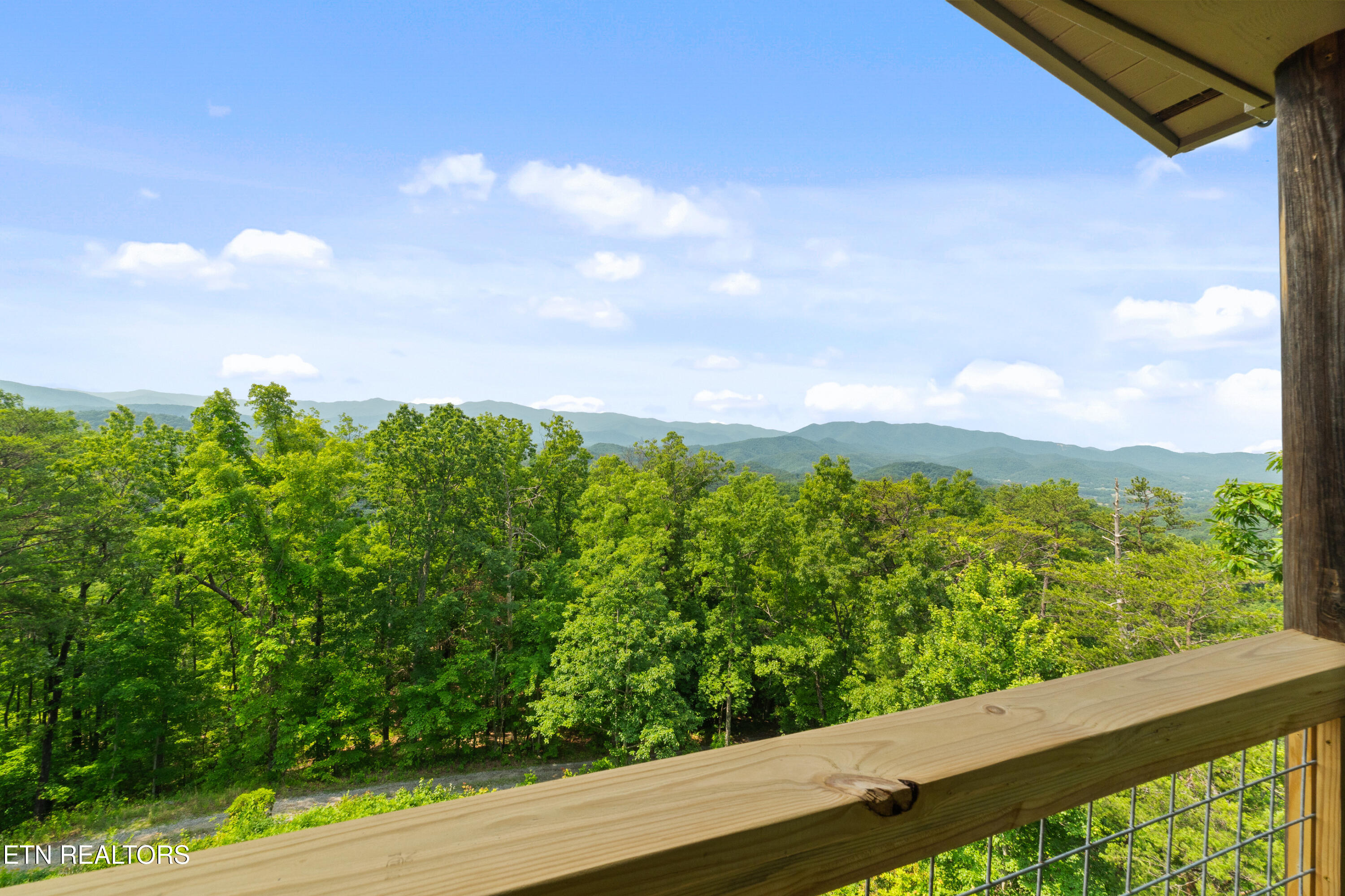 1265 Lookout Trail Townsend, TN 37882 - Photo 42 of 59 DSC06873
