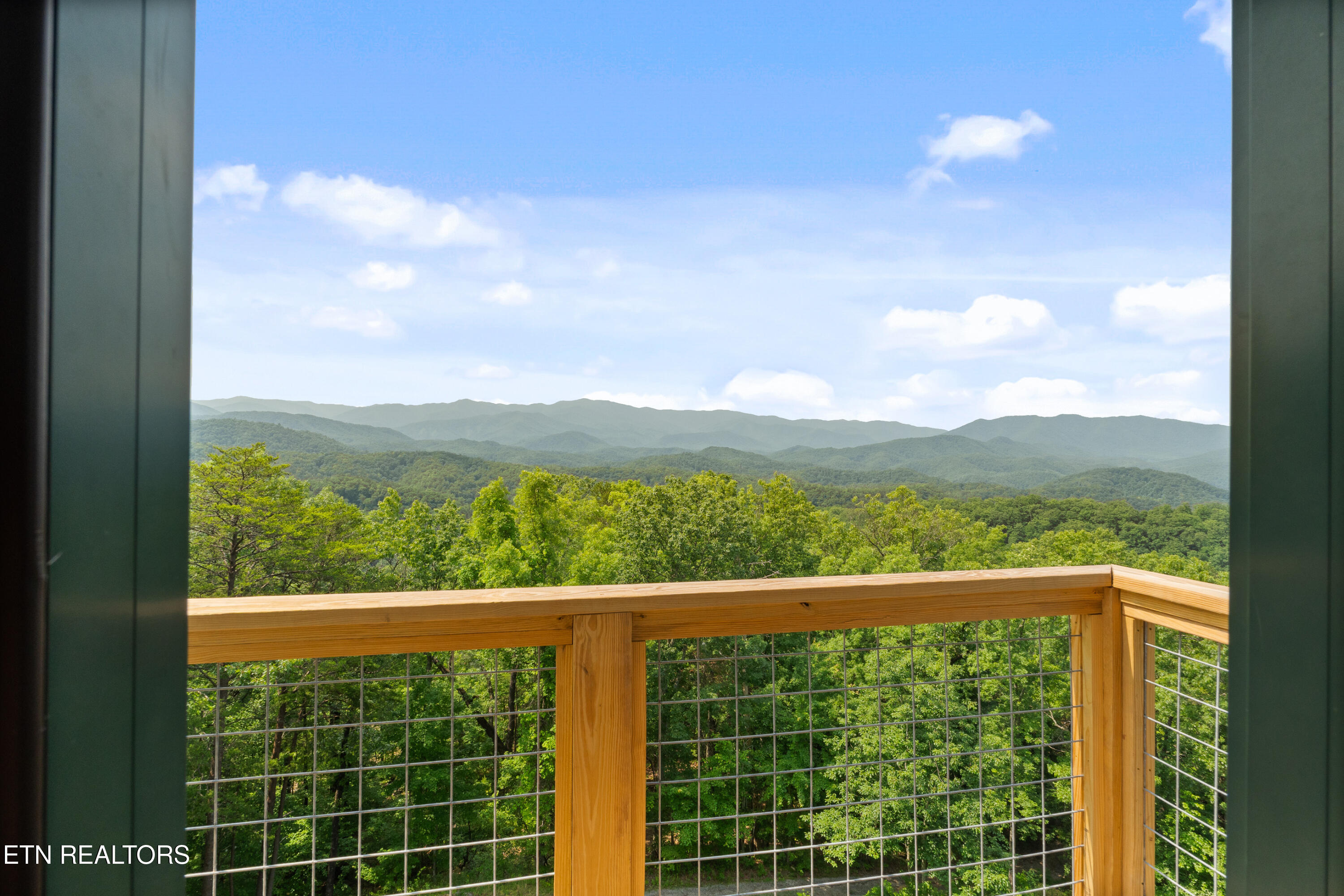 1265 Lookout Trail Townsend, TN 37882 - Photo 45 of 59 DSC06898