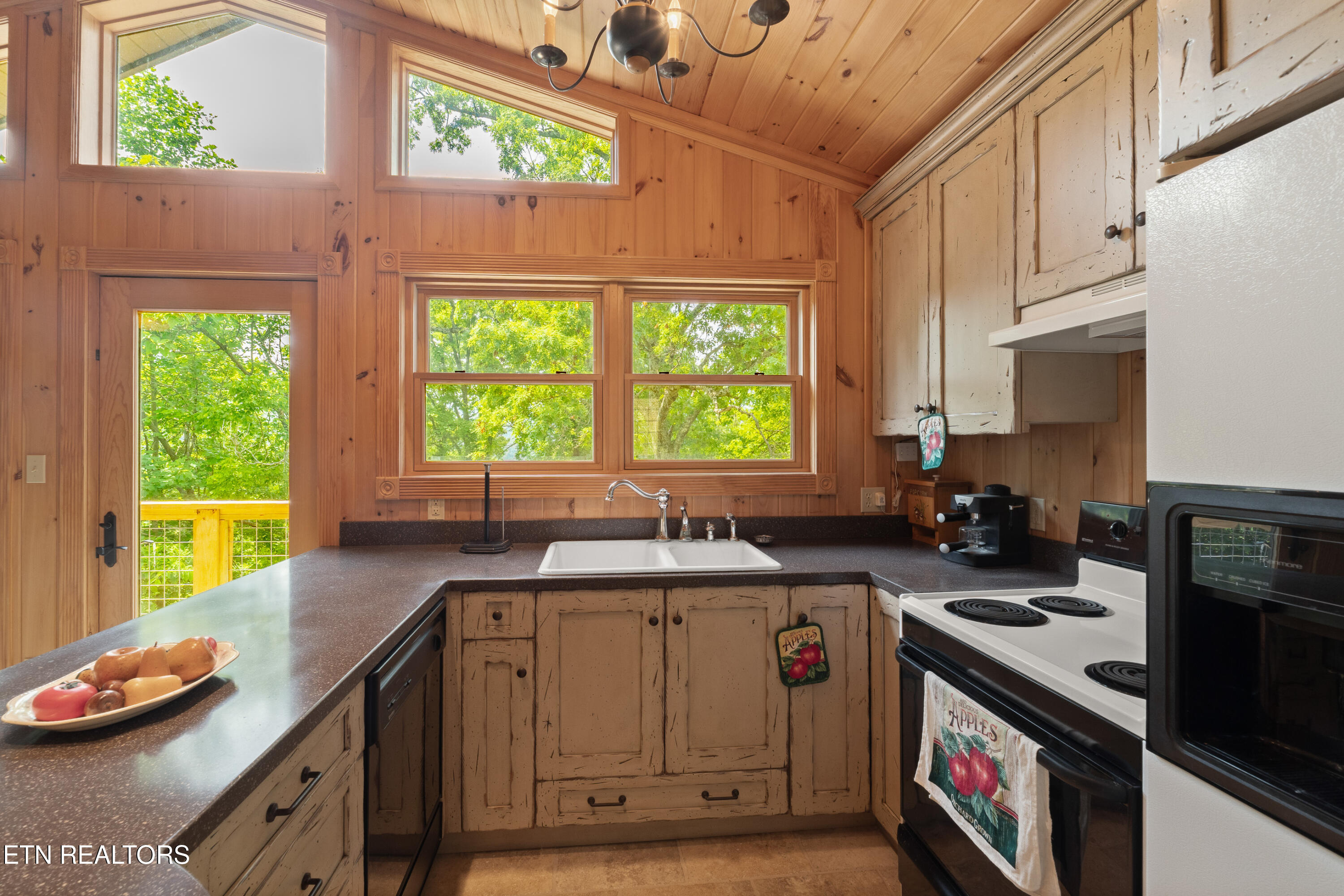 1265 Lookout Trail Townsend, TN 37882 - Photo 56 of 59 DSC06973