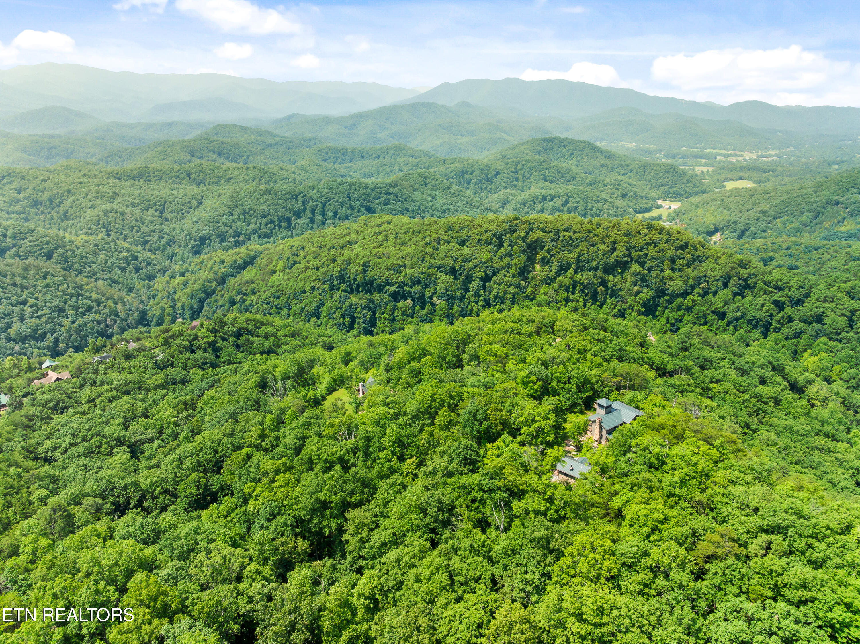1265 Lookout Trail Townsend, TN 37882 - Photo 10 of 59 DJI_0312