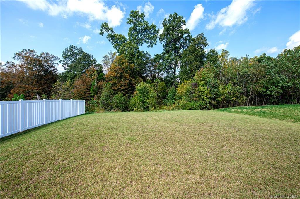 9915 Paper Tree Road Charlotte, NC 28227 - Photo 28 of 35 a view of a yard with a tree
