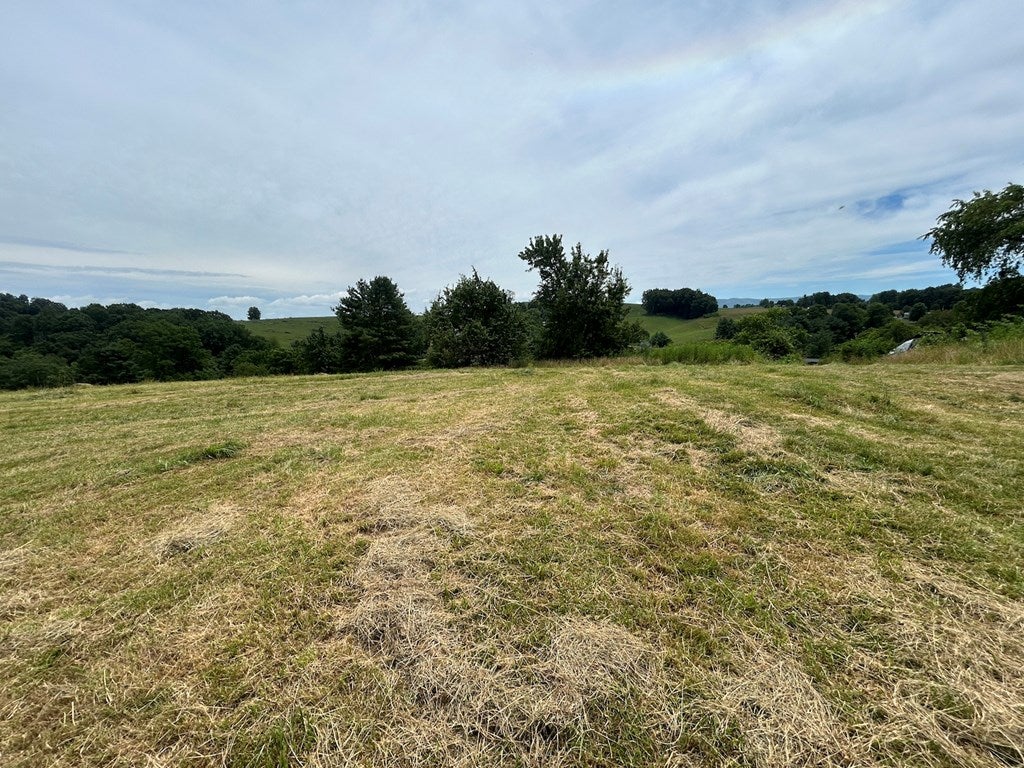 29.31-ac Ridgetop Drive Rural Retreat, VA 24368 - Photo 10 of 38 Gallery Image 10