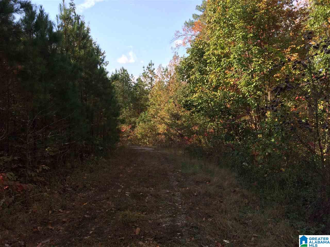 2096 Coldwater Road, Unit 3 Anniston, AL 36201 - Photo 12 of 13