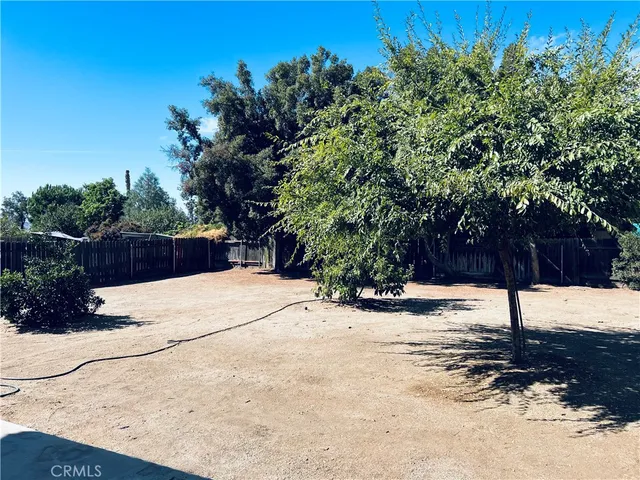 a view of a yard with plants and trees