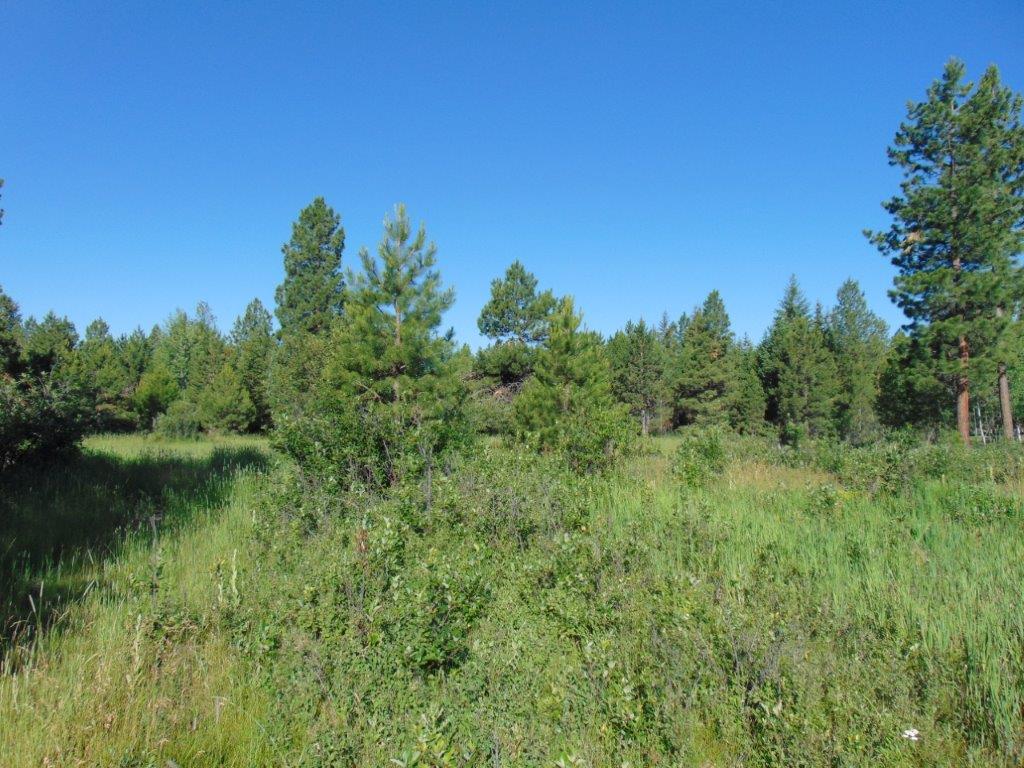 4615 Abe Lincoln Road Lincoln, MT 59639 - Photo 11 of 92 Gallery Image 11