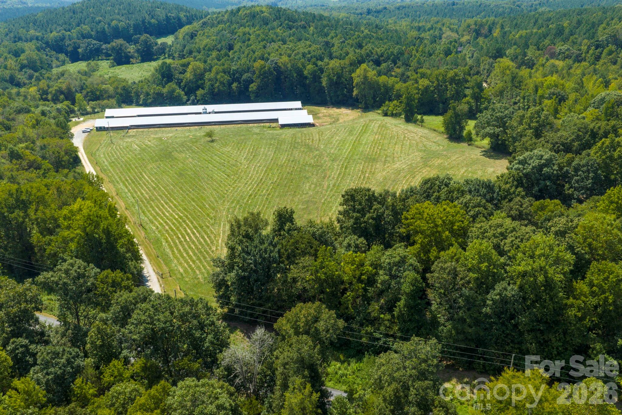 1706 Ross Wood Road Trinity, NC 27370 - Photo 7 of 24 Gallery Image 7