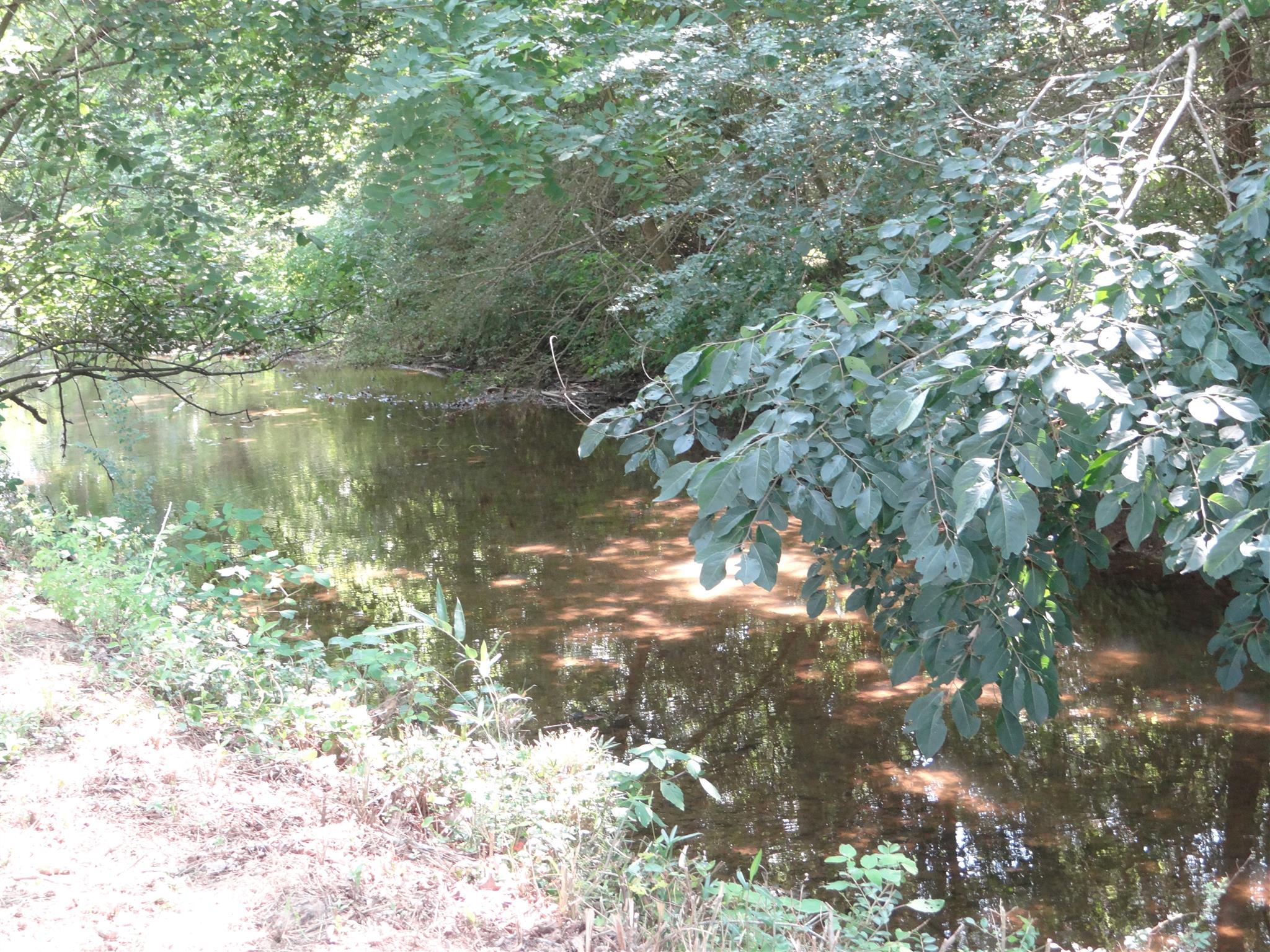 767 Weakley Creek Road Lawrenceburg, TN 38464 - Photo 2 of 20 Beautiful branch running along the property.