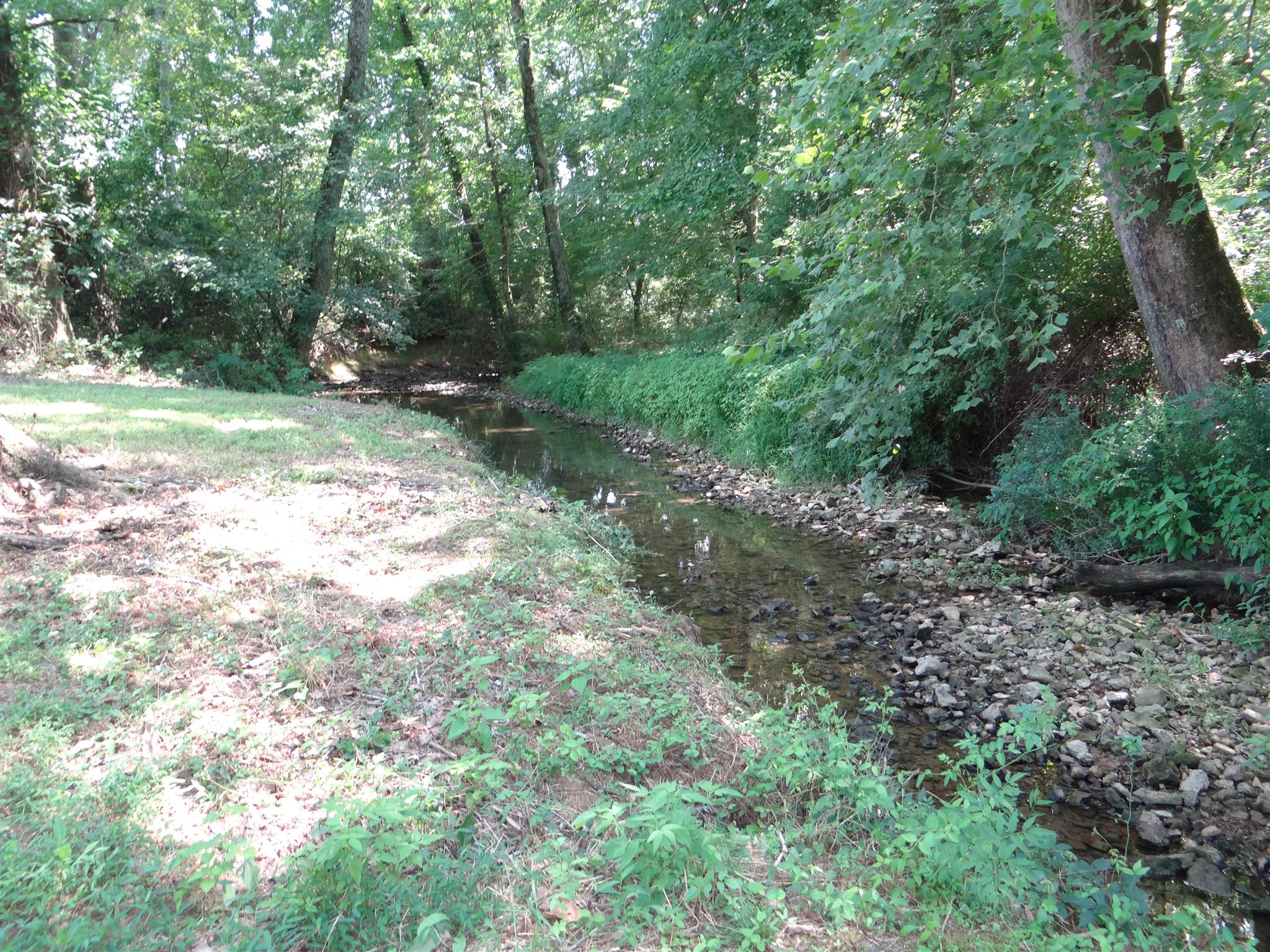 767 Weakley Creek Road Lawrenceburg, TN 38464 - Photo 3 of 20 Gallery Image 3