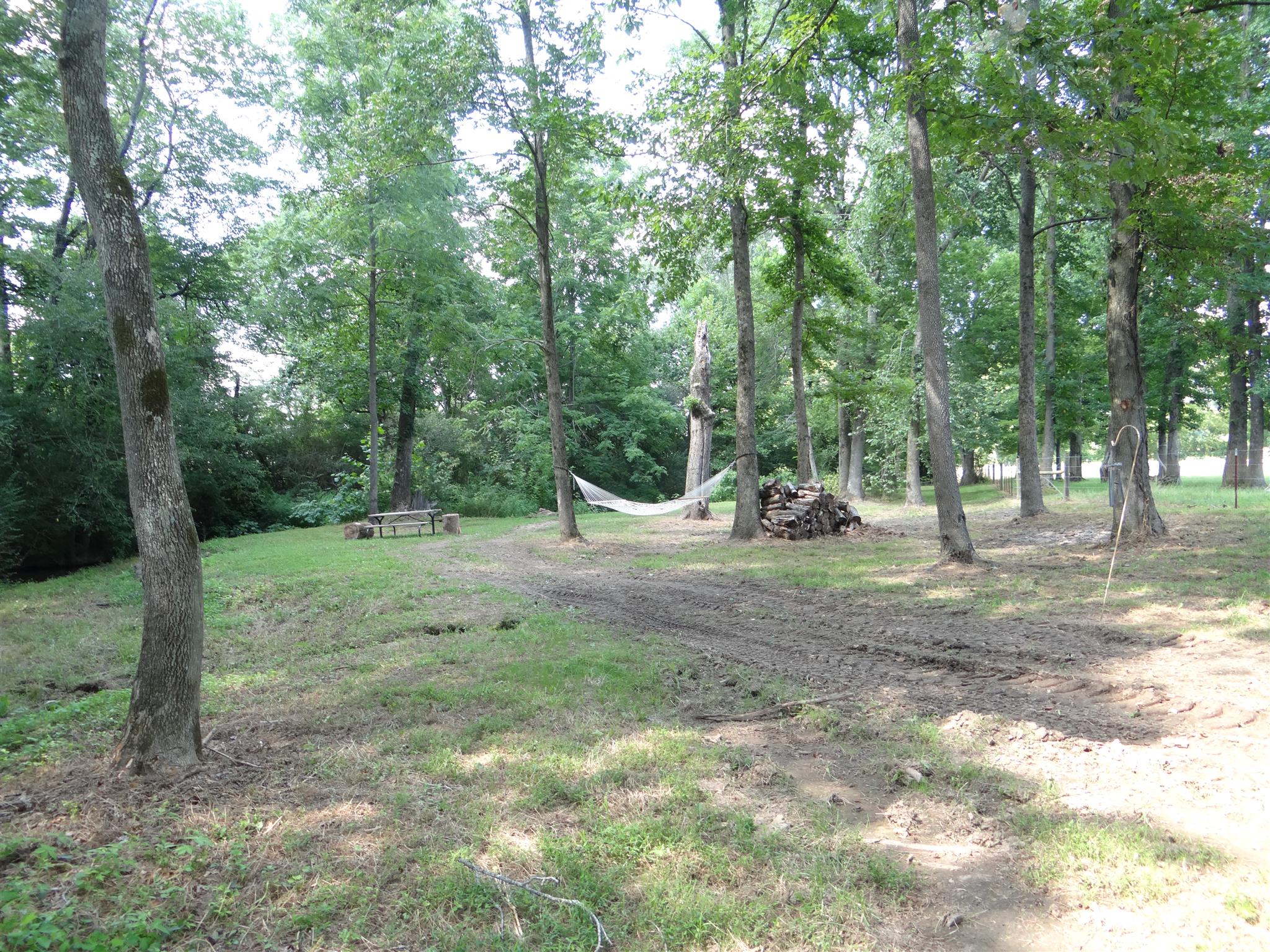 767 Weakley Creek Road Lawrenceburg, TN 38464 - Photo 5 of 20 Gallery Image 5