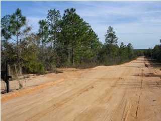 0 Wee Acres Road DeFuniak Springs, FL 32433 - Photo 1 of 1