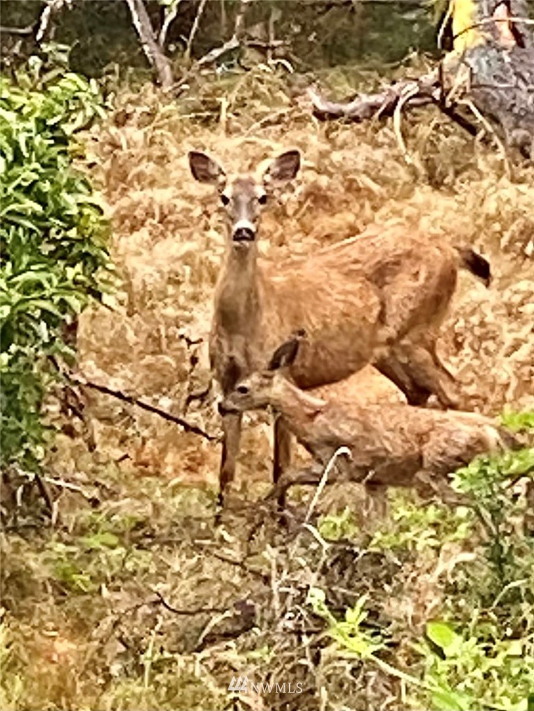17905 35th Avenue Southeast, Unit A3 Bothell, WA 98012 - Photo 30 of 35 a view of under construction area