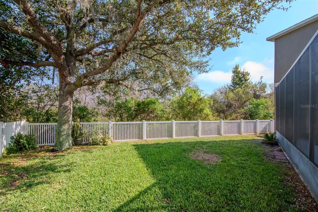 1835 Regal Mist Loop Trinity, FL 34655 - Photo 7 of 55 a view of a backyard