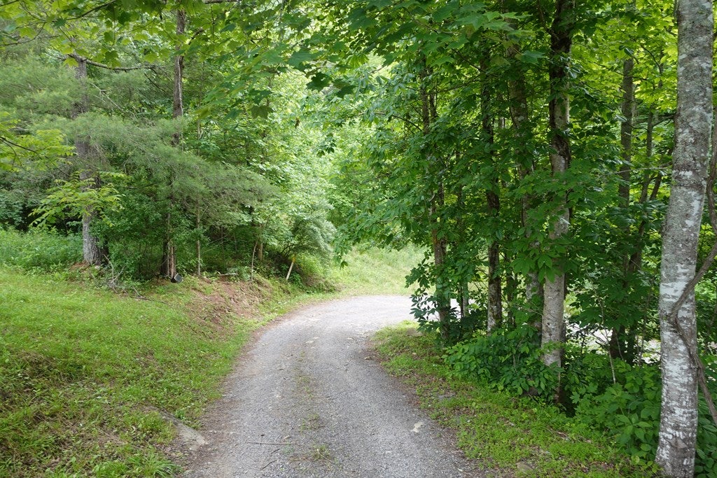 639 Dream Farm Road Birchleaf, VA 24220 - Photo 71 of 75 Gallery Image 71