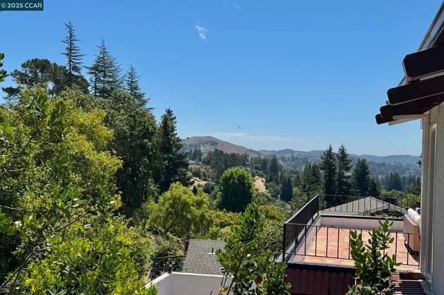 a view of a patio with couches chairs potted plants and a palm tree