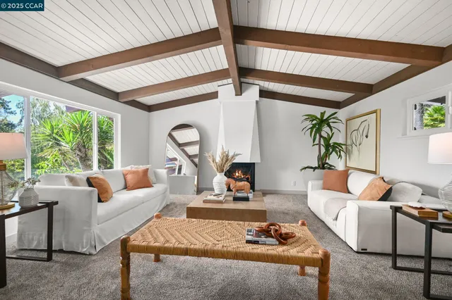 a living room with furniture a fireplace and a potted plant