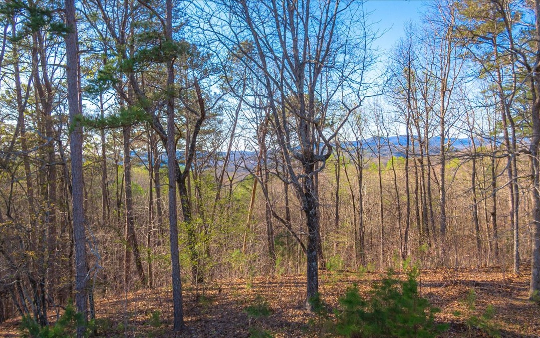 175 Doll Mountain Road Ellijay, GA 30540 - Photo 1 of 10 Main View