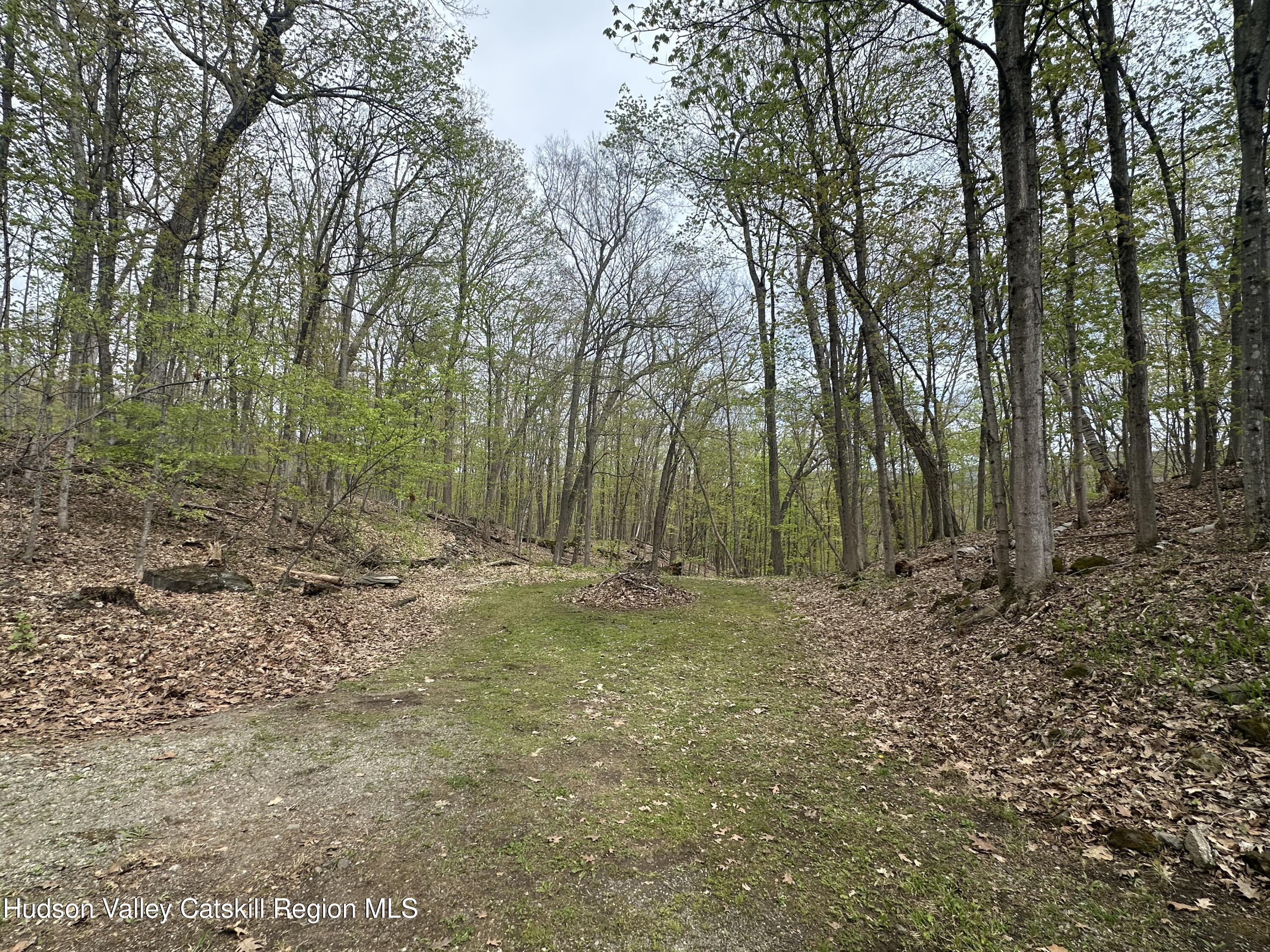 73 Birch Road, Unit LOT# 648 649 650 5 Copake, NY 12516 - Photo 19 of 22 0E909180-B471-469F-8A04-105D1762CD5E