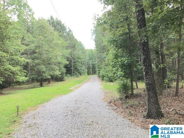 5805 Pine Mountain Road Remlap, AL 35133 - Photo 34 of 47