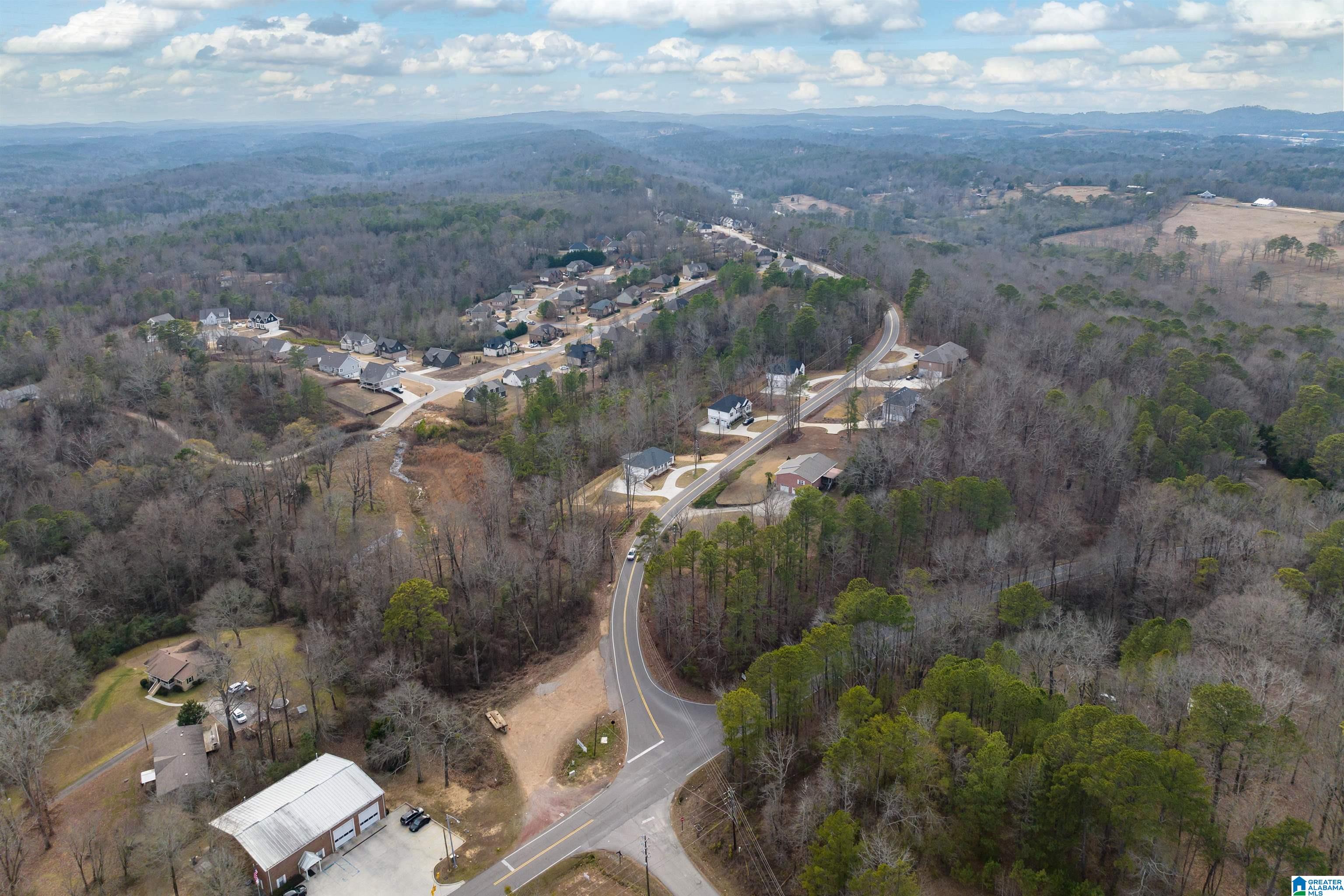 3526 Smith Sims Road Trussville, AL 35173 - Photo 43 of 47