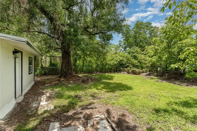 a view of a yard with plants and large trees