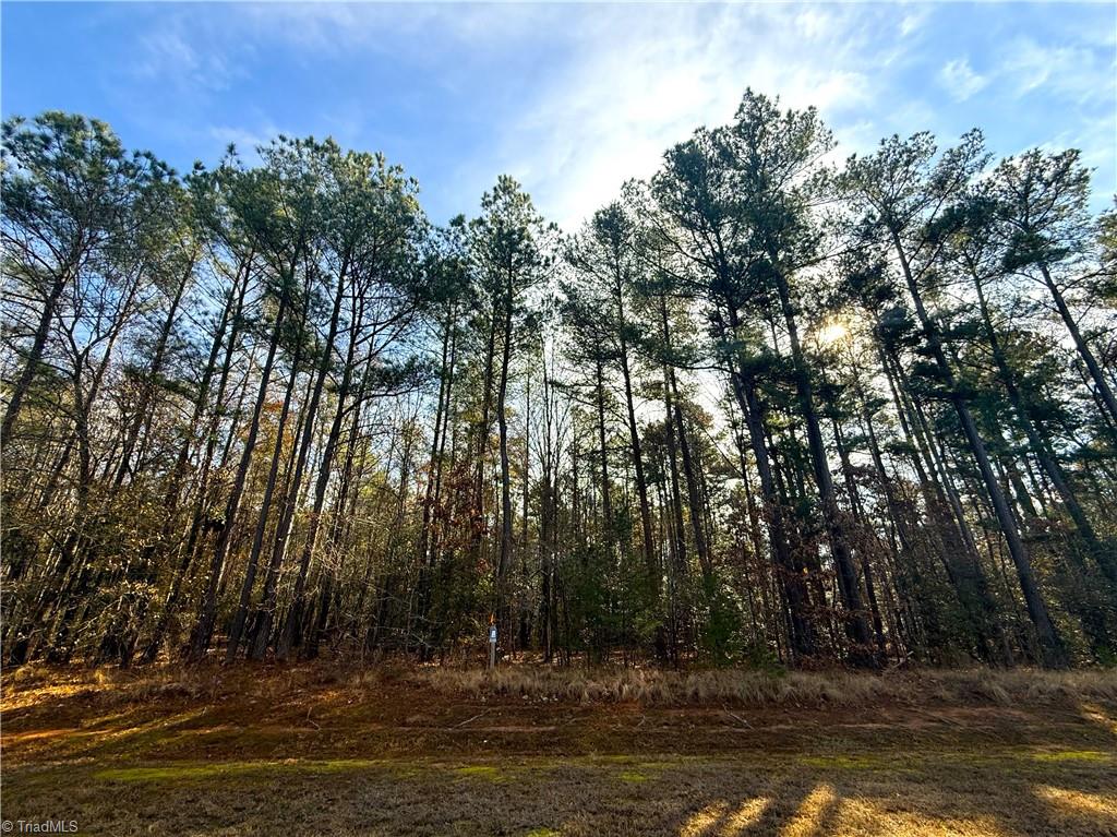 136 North State Lane Rockingham, NC 28379 - Photo 11 of 19