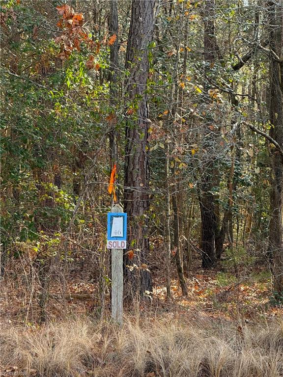 136 North State Lane Rockingham, NC 28379 - Photo 13 of 19