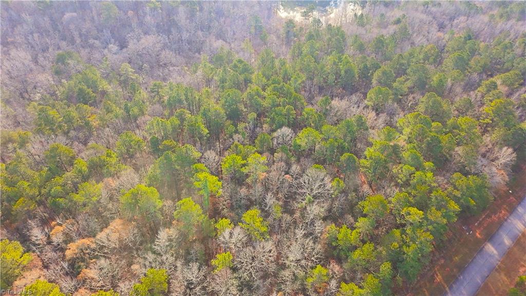 136 North State Lane Rockingham, NC 28379 - Photo 6 of 19