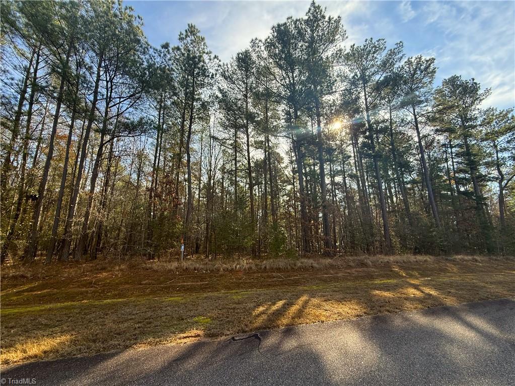 136 North State Lane Rockingham, NC 28379 - Photo 10 of 19